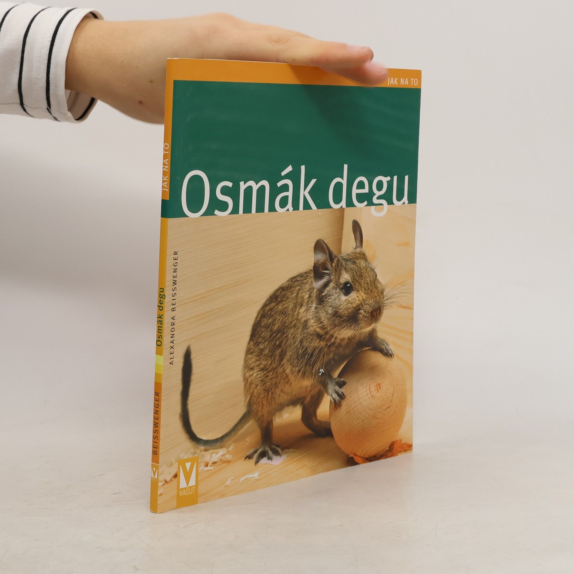 Osmák degu