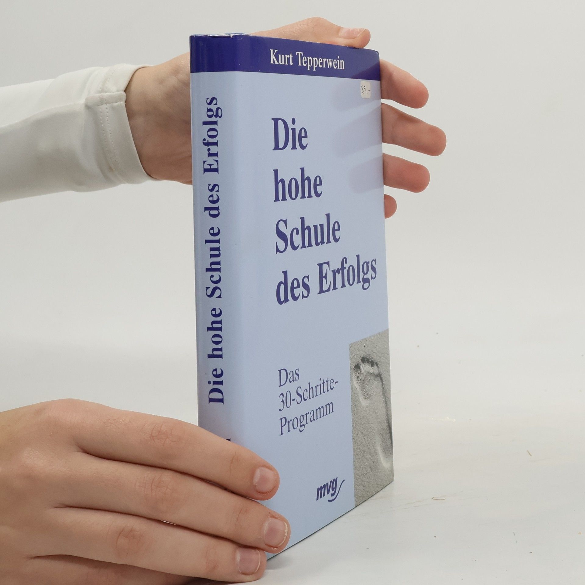 Kurt Tepperwein Die hohe Schule des Erfolgs