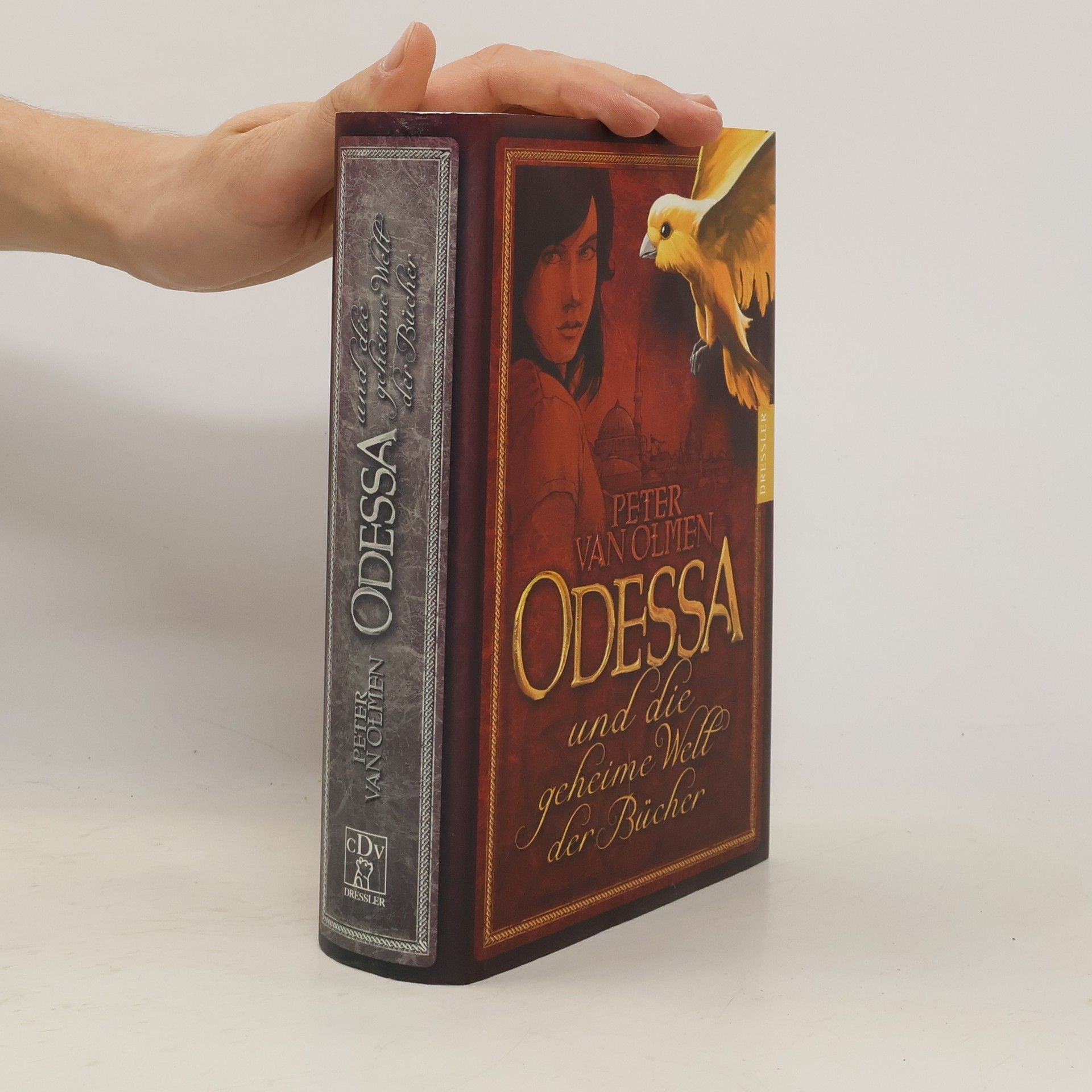 Peter Van Olmen Odessa und die geheime Welt der Bücher