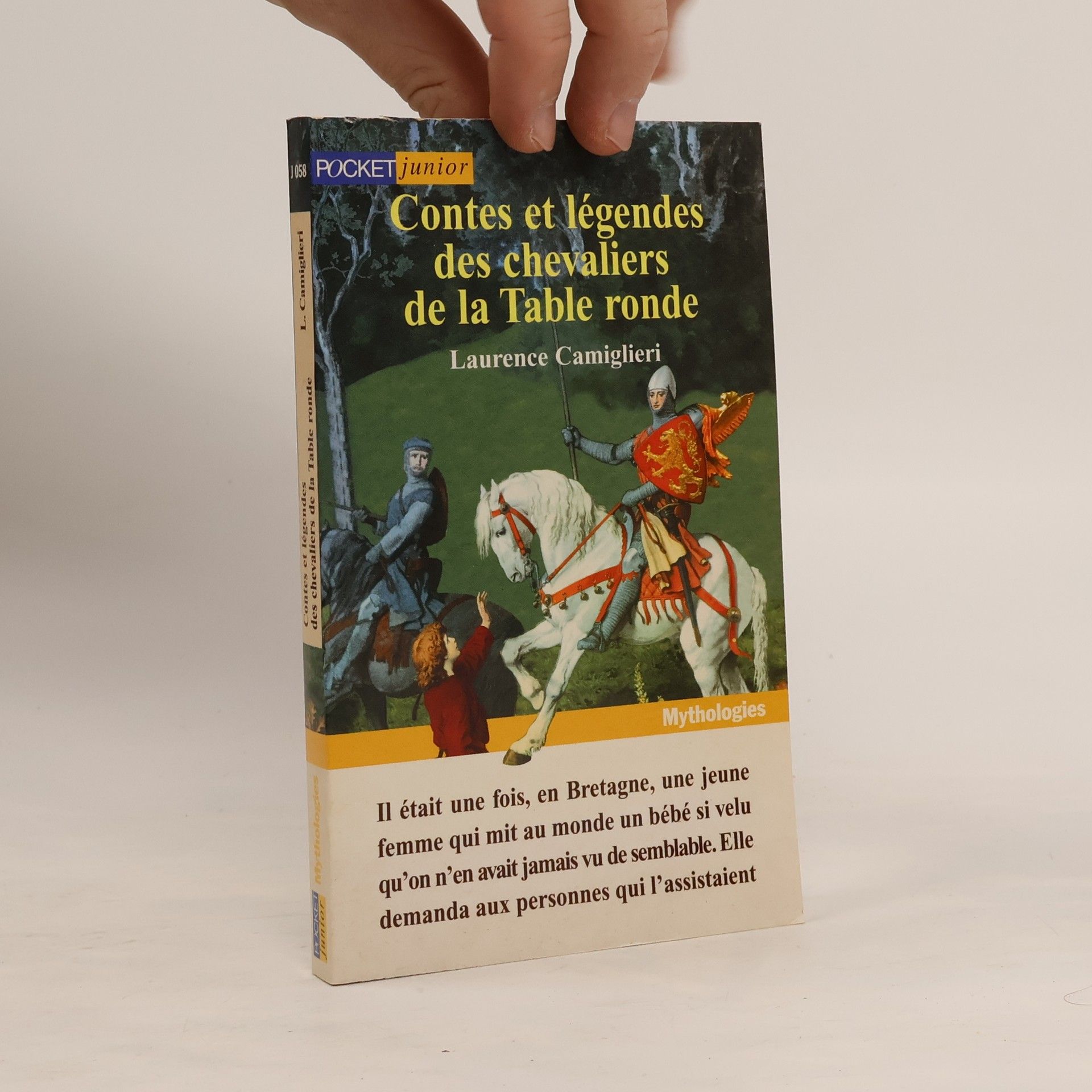 Laurence Camiglieri Contes et légendes des chevaliers de la Table Ronde