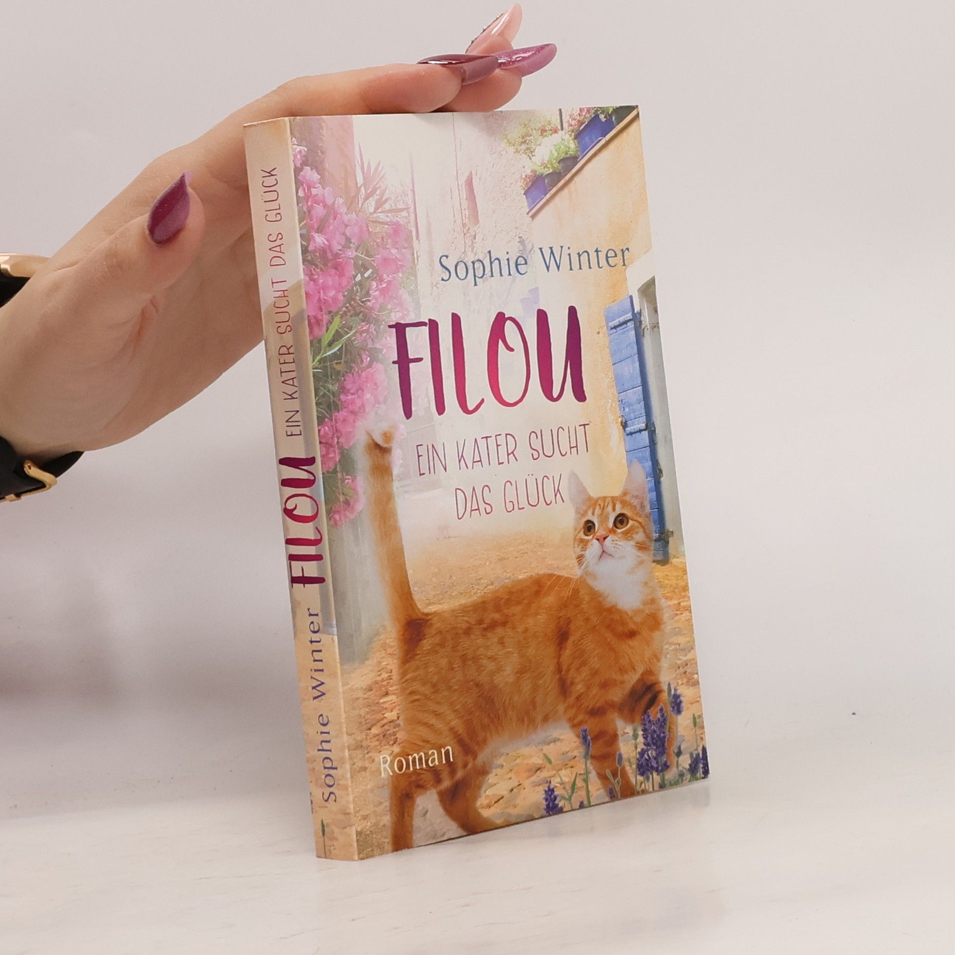 Sophie Winter Filou. Ein Kater sucht das Glück