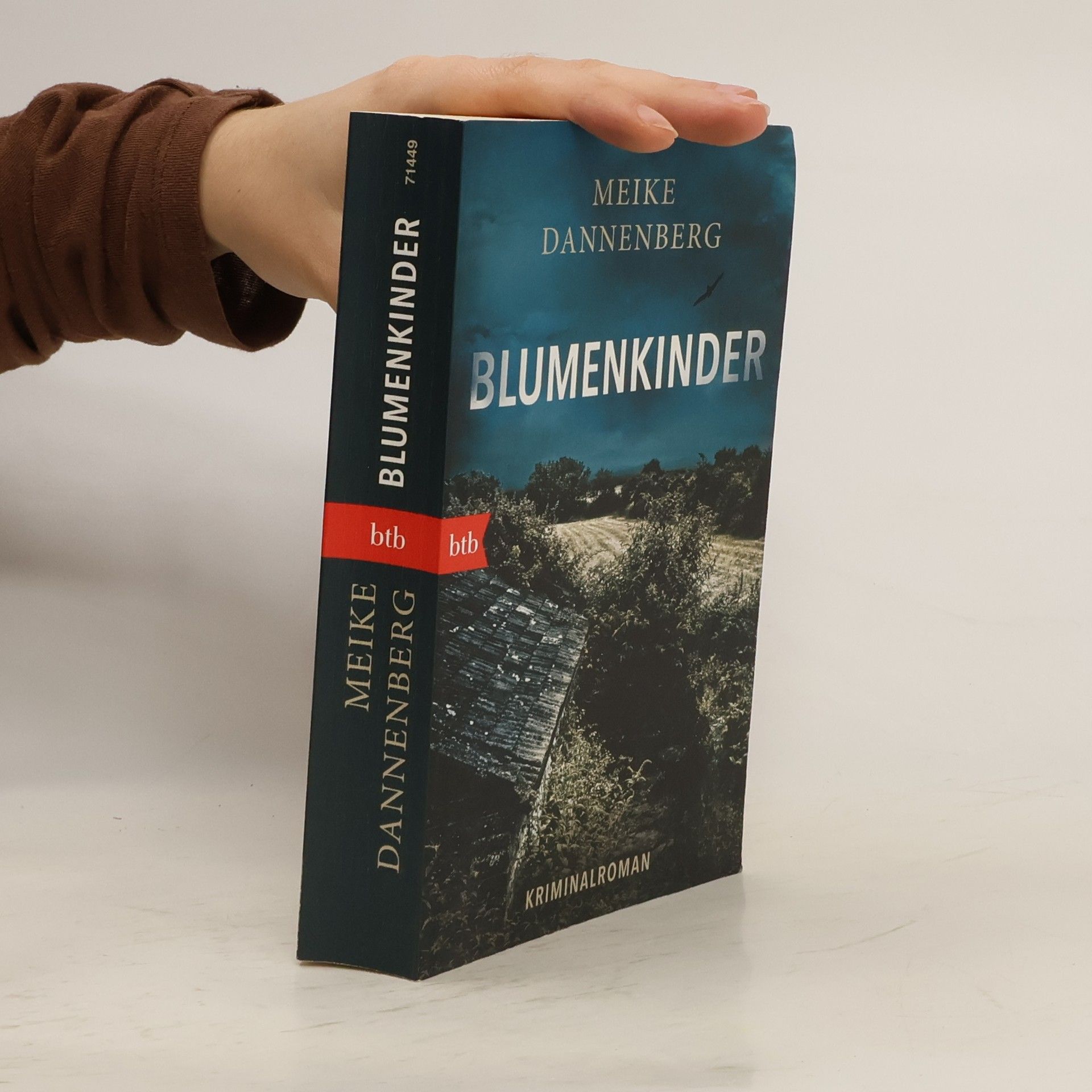 Meike Dannenberg BKA-Sonderermittlerin Nora Klerner - 1: Blumenkinder