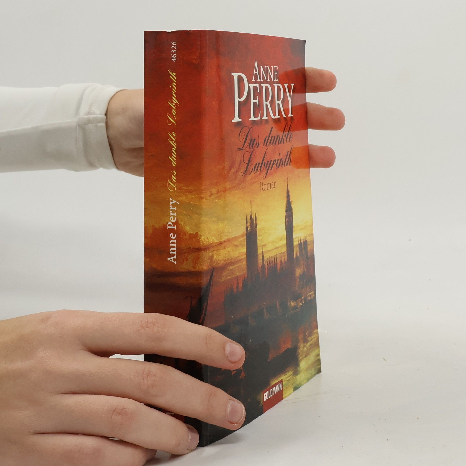 Anne Perry Das dunkle Labyrinth