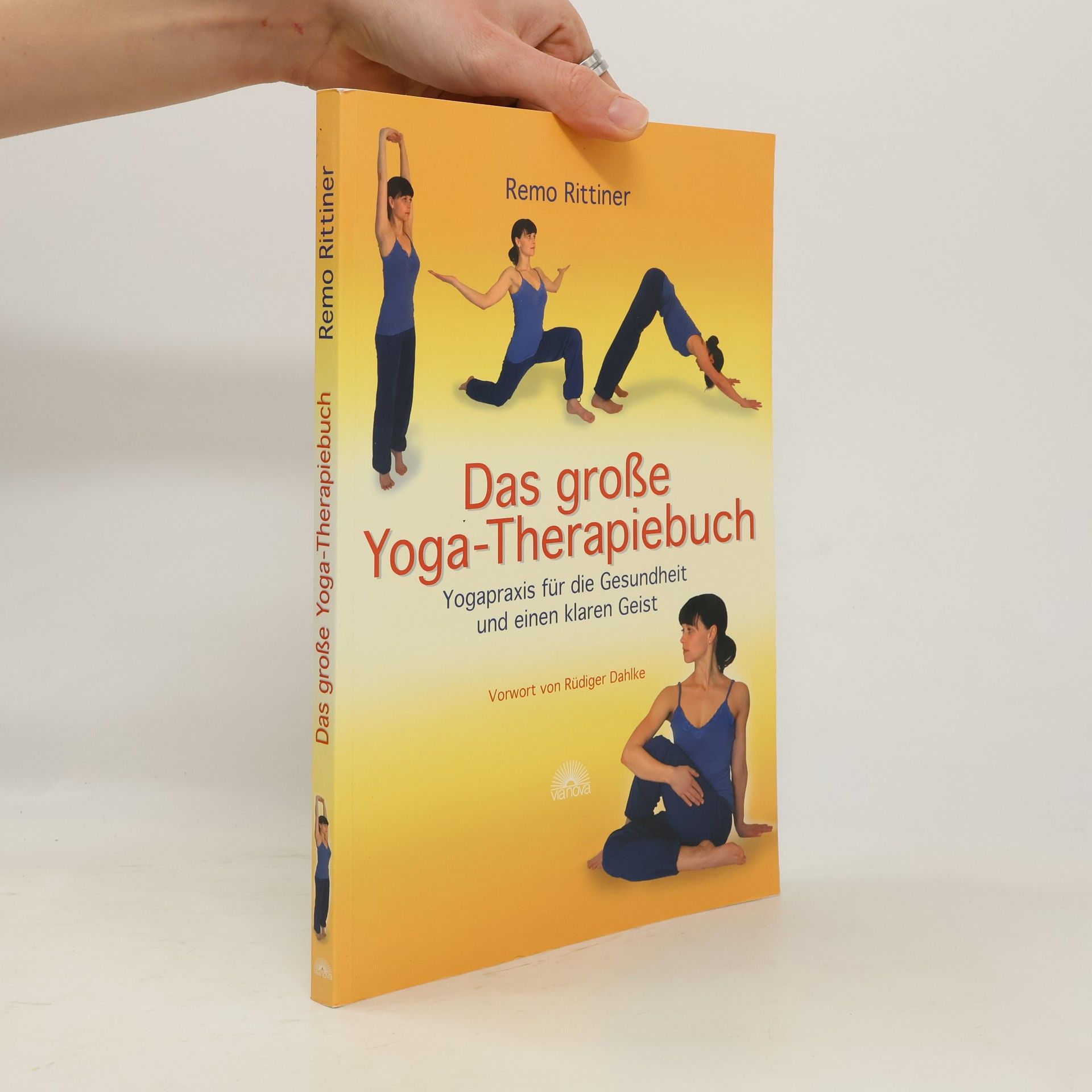 Remo Rittiner Das große Yoga-Therapiebuch