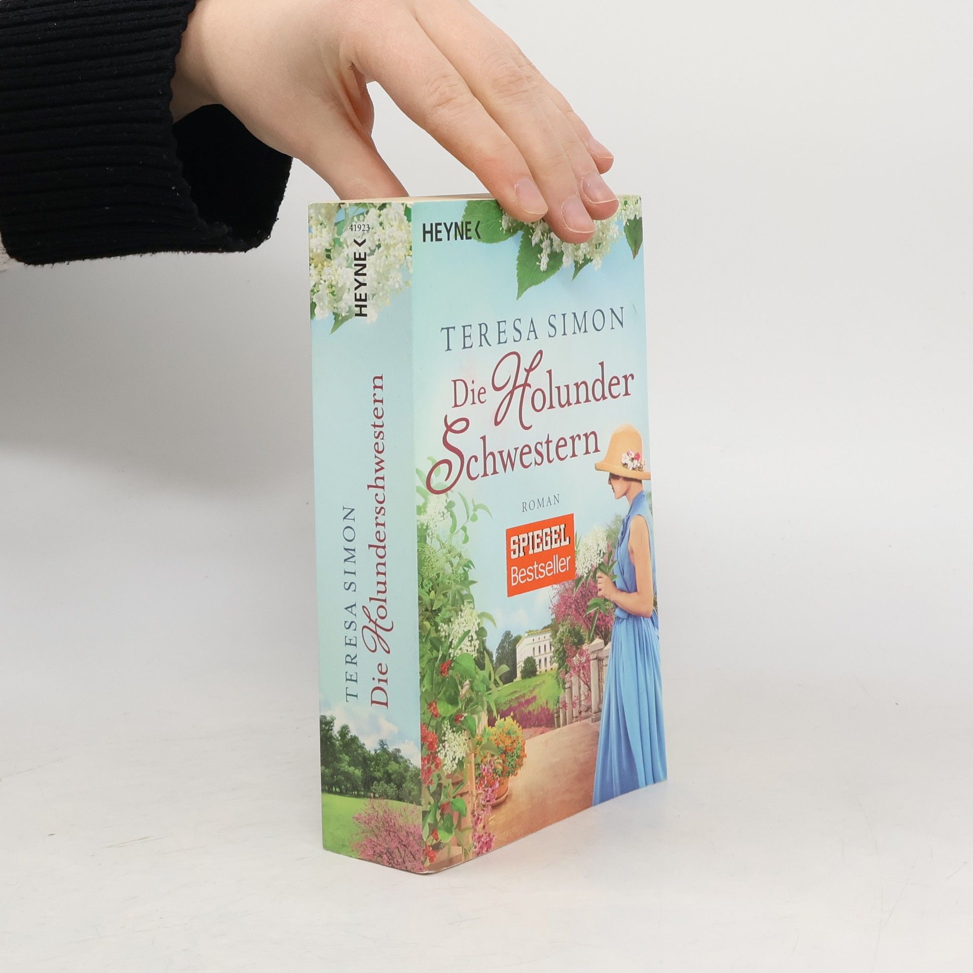 Brigitte Riebe Die Holunderschwestern