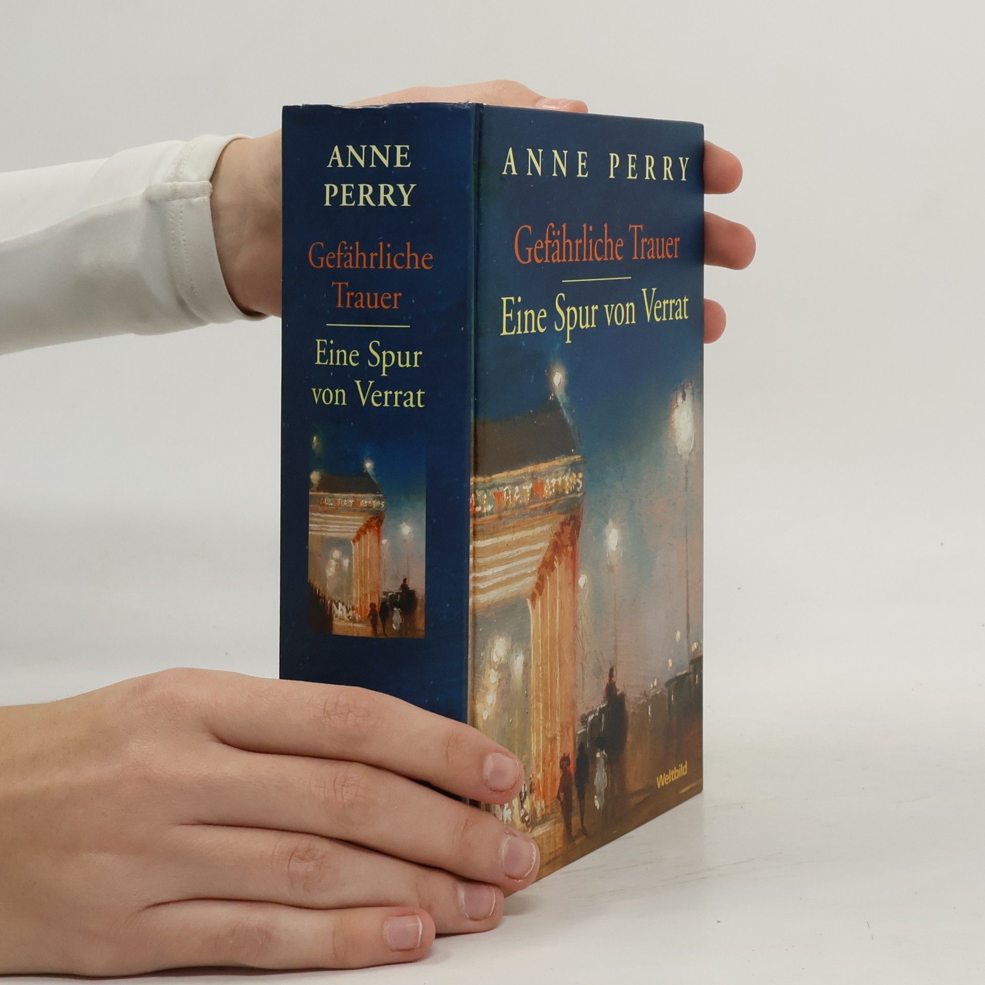 Anne Perry Gefährliche Trauer