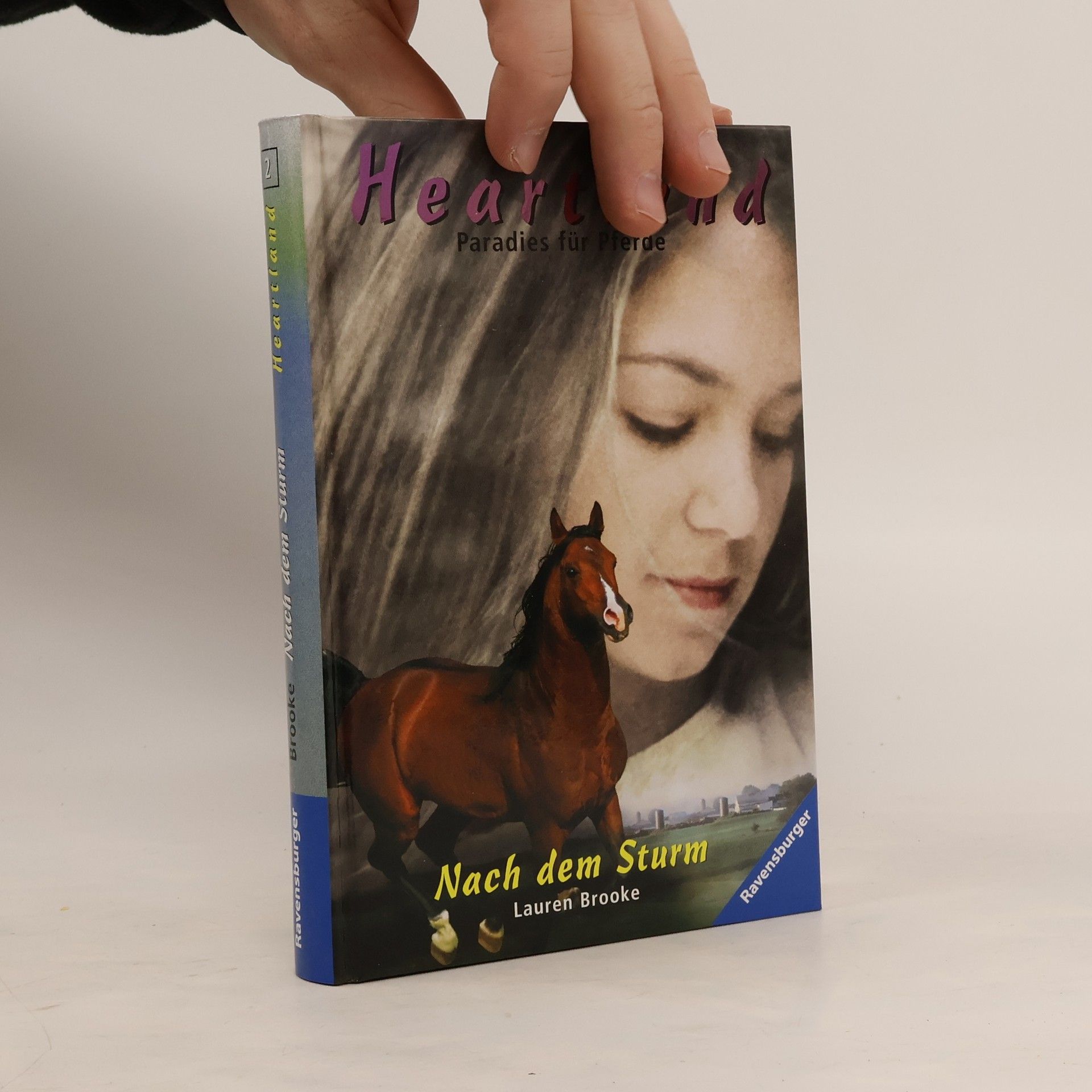 Lauren Brooke Heartland Farm - Paradies für Pferde 2. Nach den Sturm