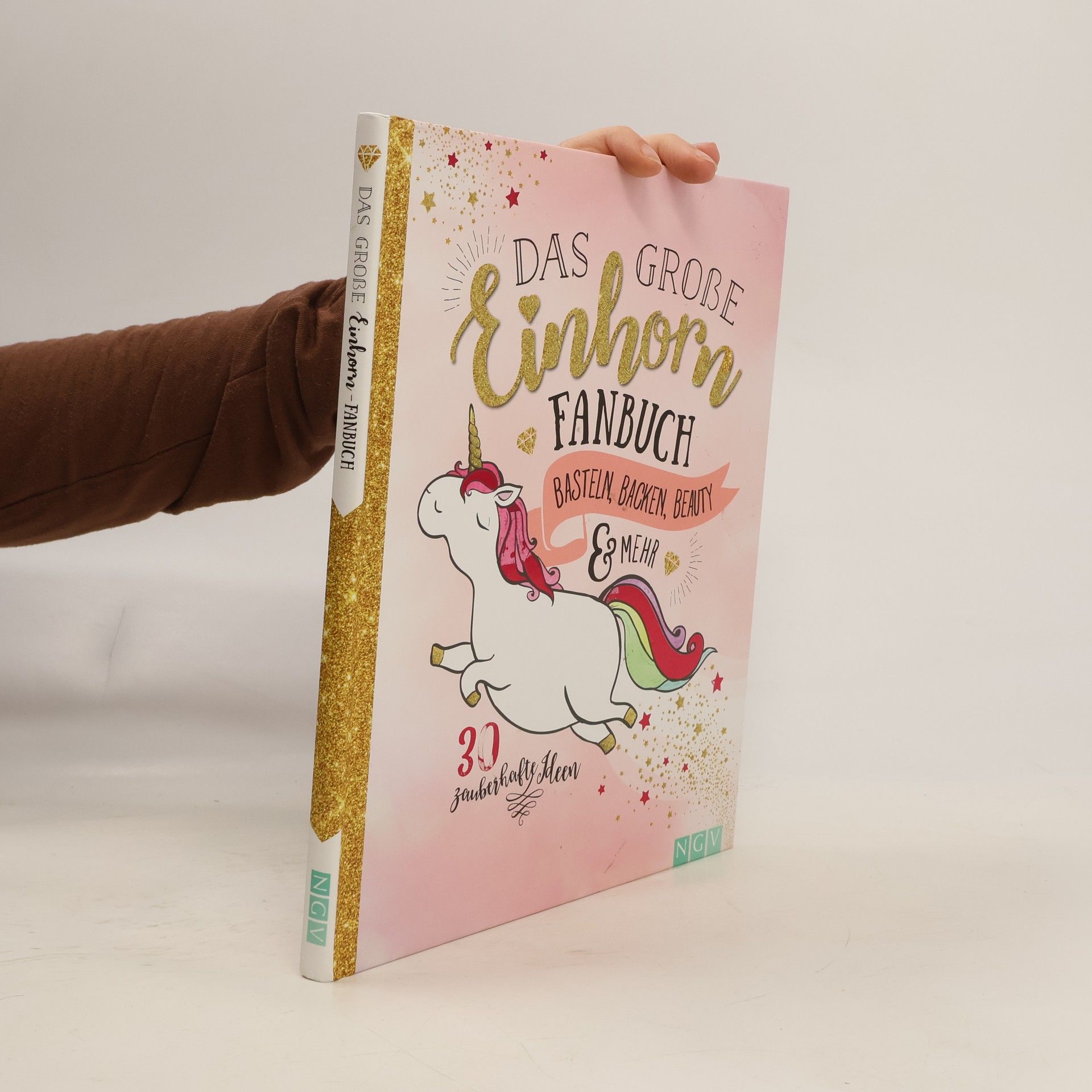 Autorenkollektiv Das grosse Einhorn Fanbuch