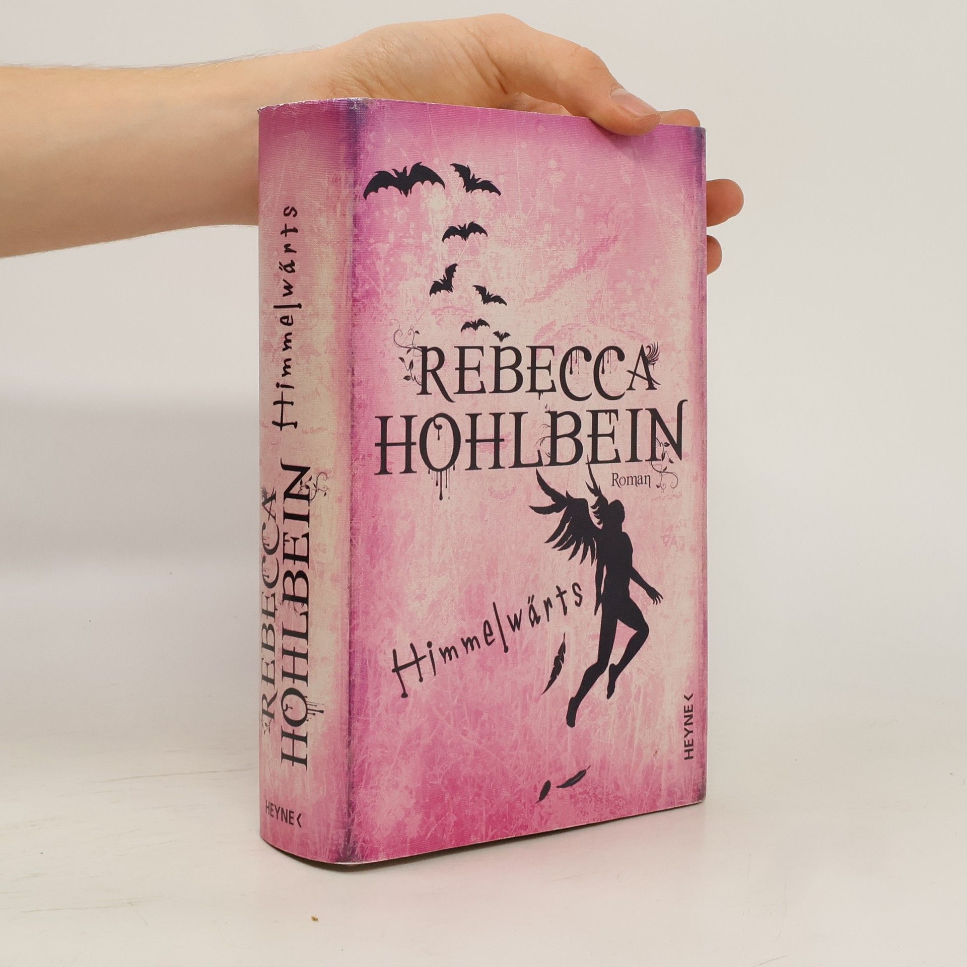 Wolfgang Hohlbein Himmelwärts