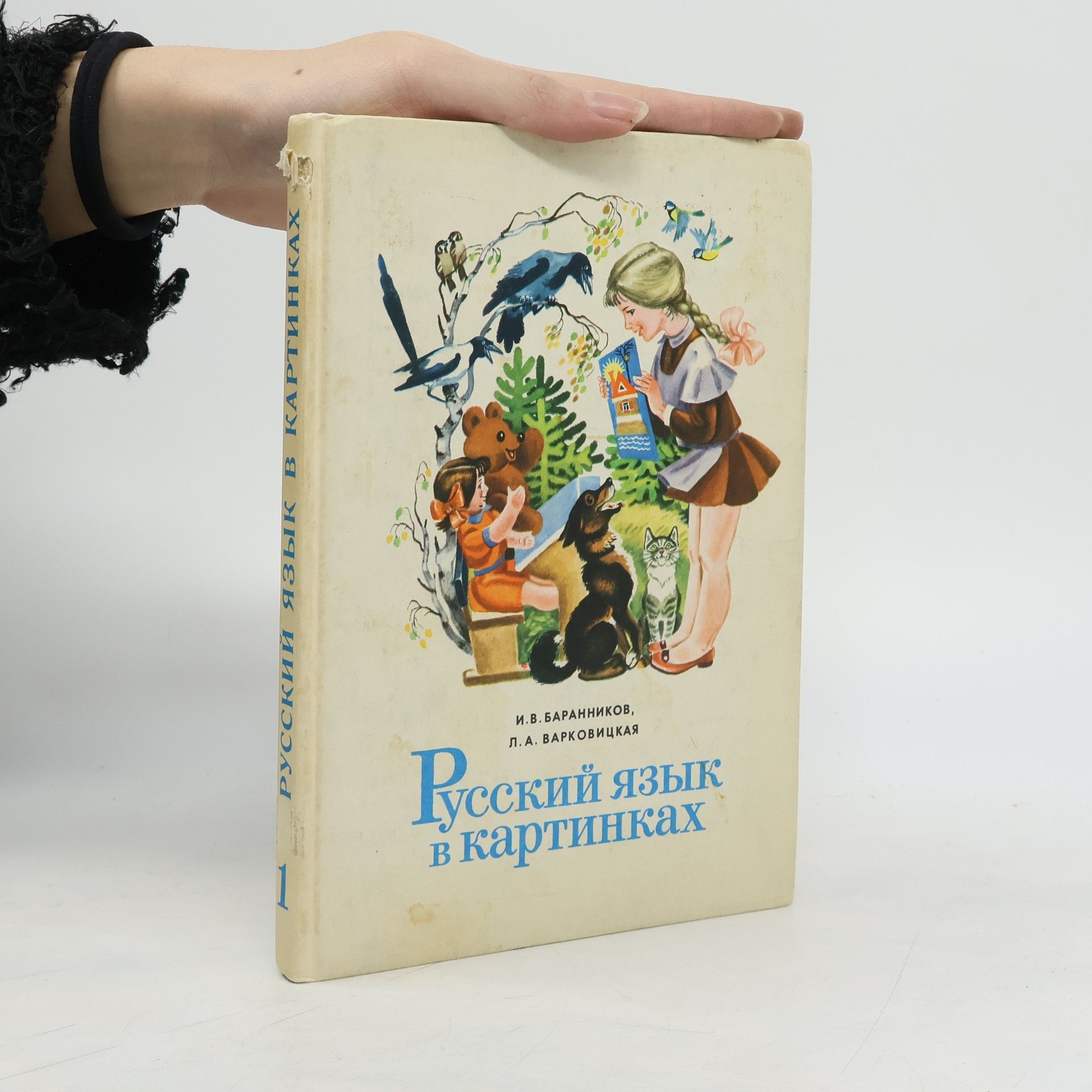 Русский язык в картинках 1 (Russkijj jazyk v kartinkakh)