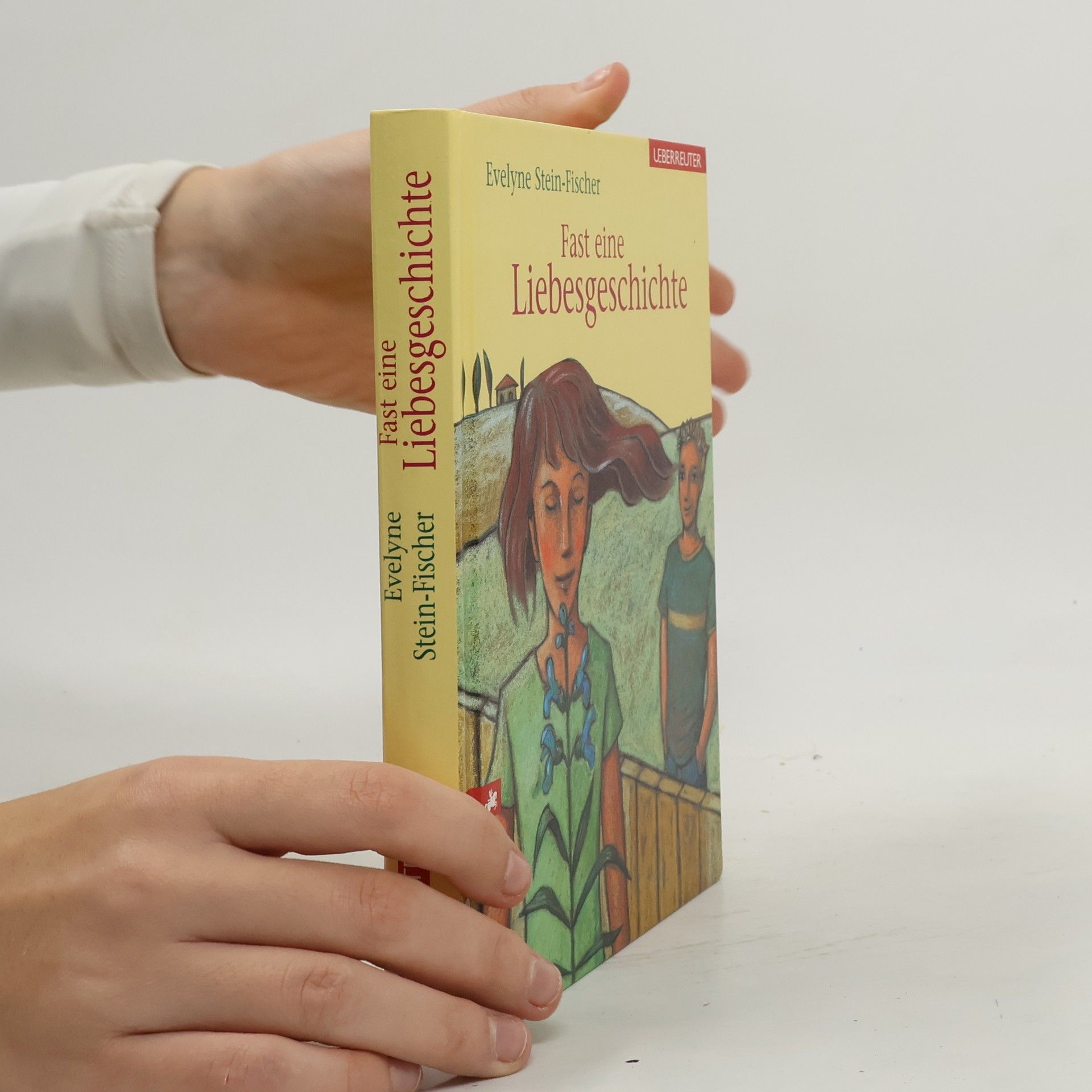 Evelyne Stein-Fischer Fast eine Liebesgeschichte