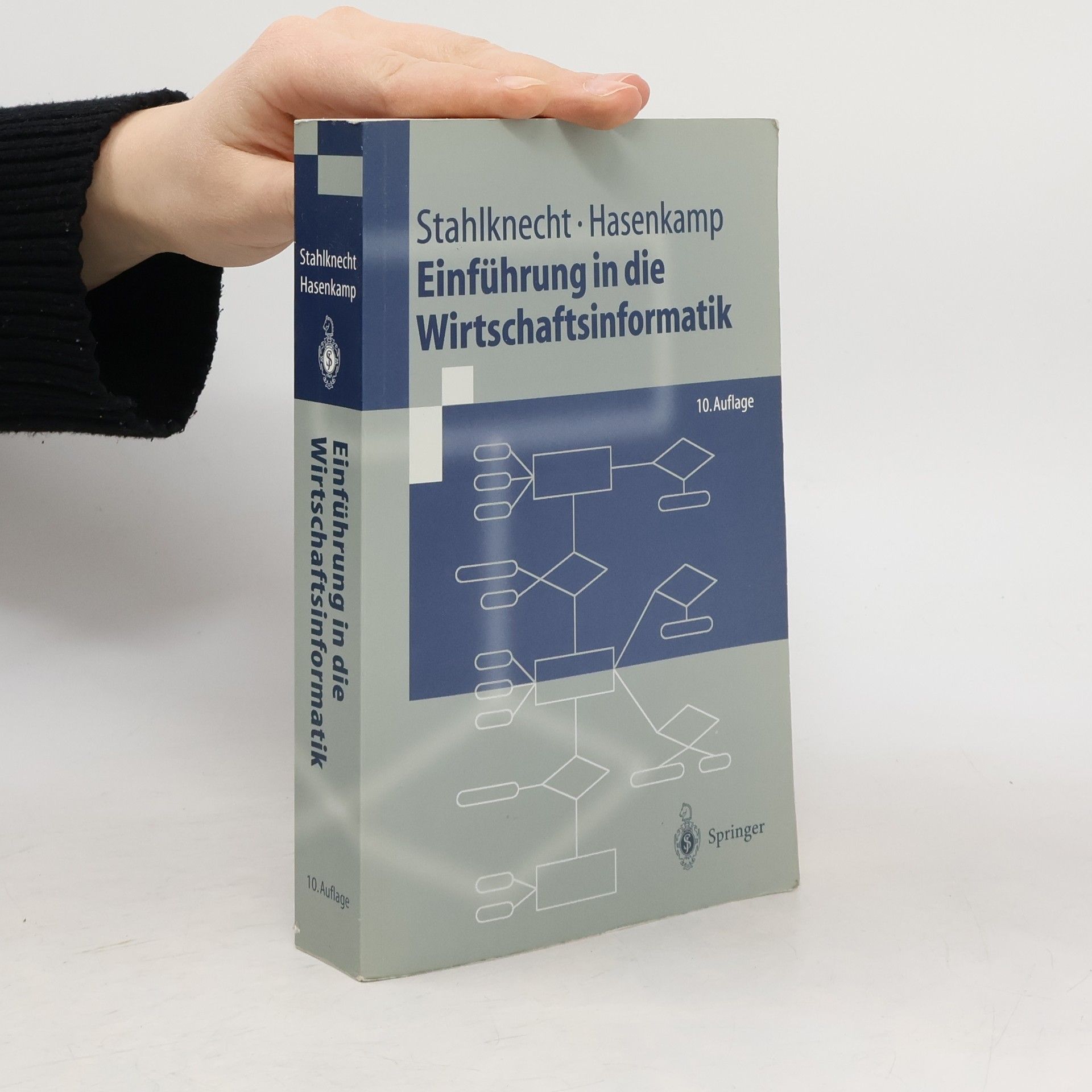 Einführung in die Wirtschaftsinformatik