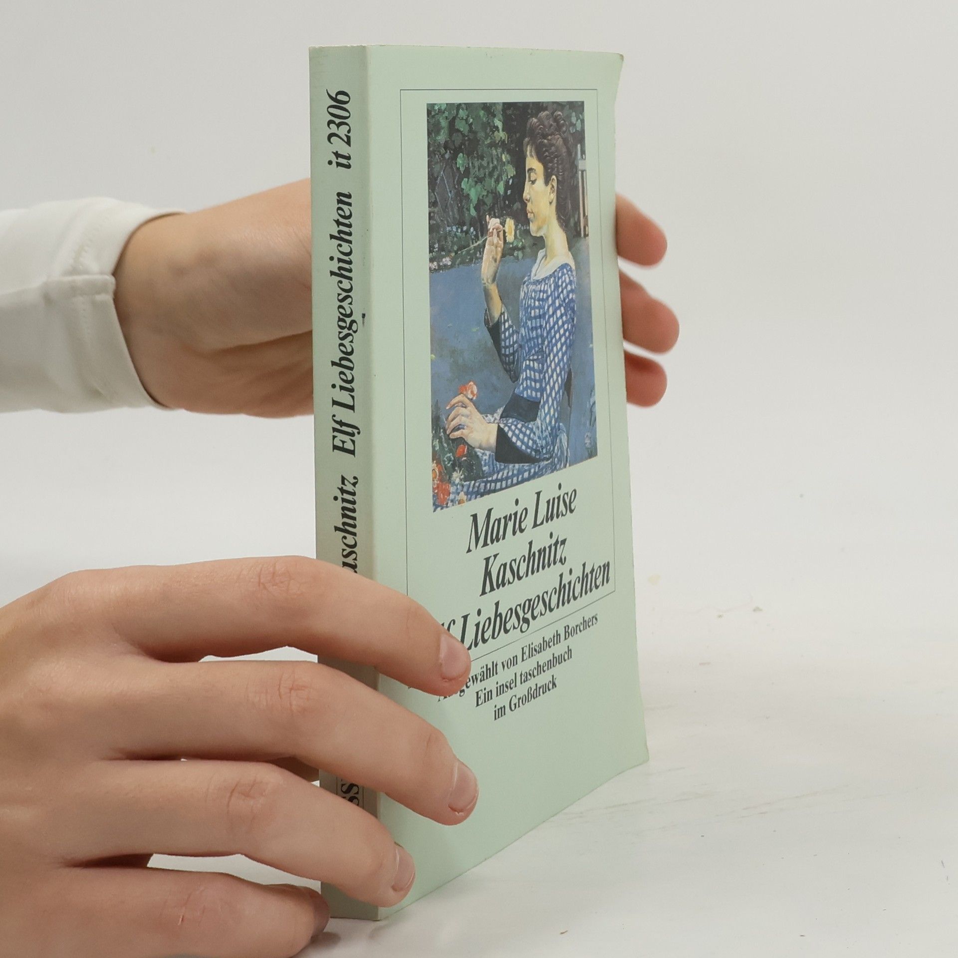 Marie Luise Kaschnitz Elf Liebesgeschichten - Großdruck