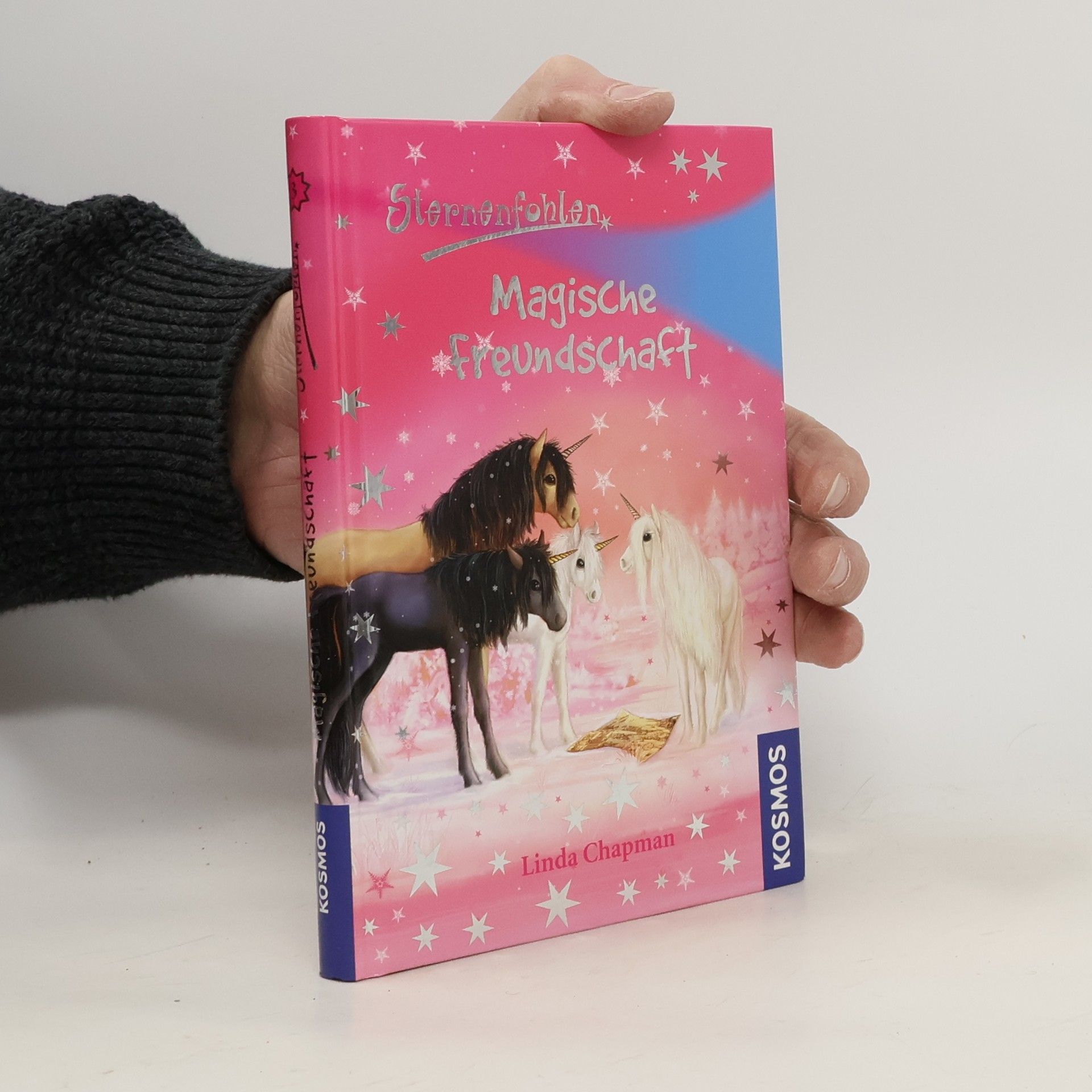 Linda Chapman Magische Freundschaft