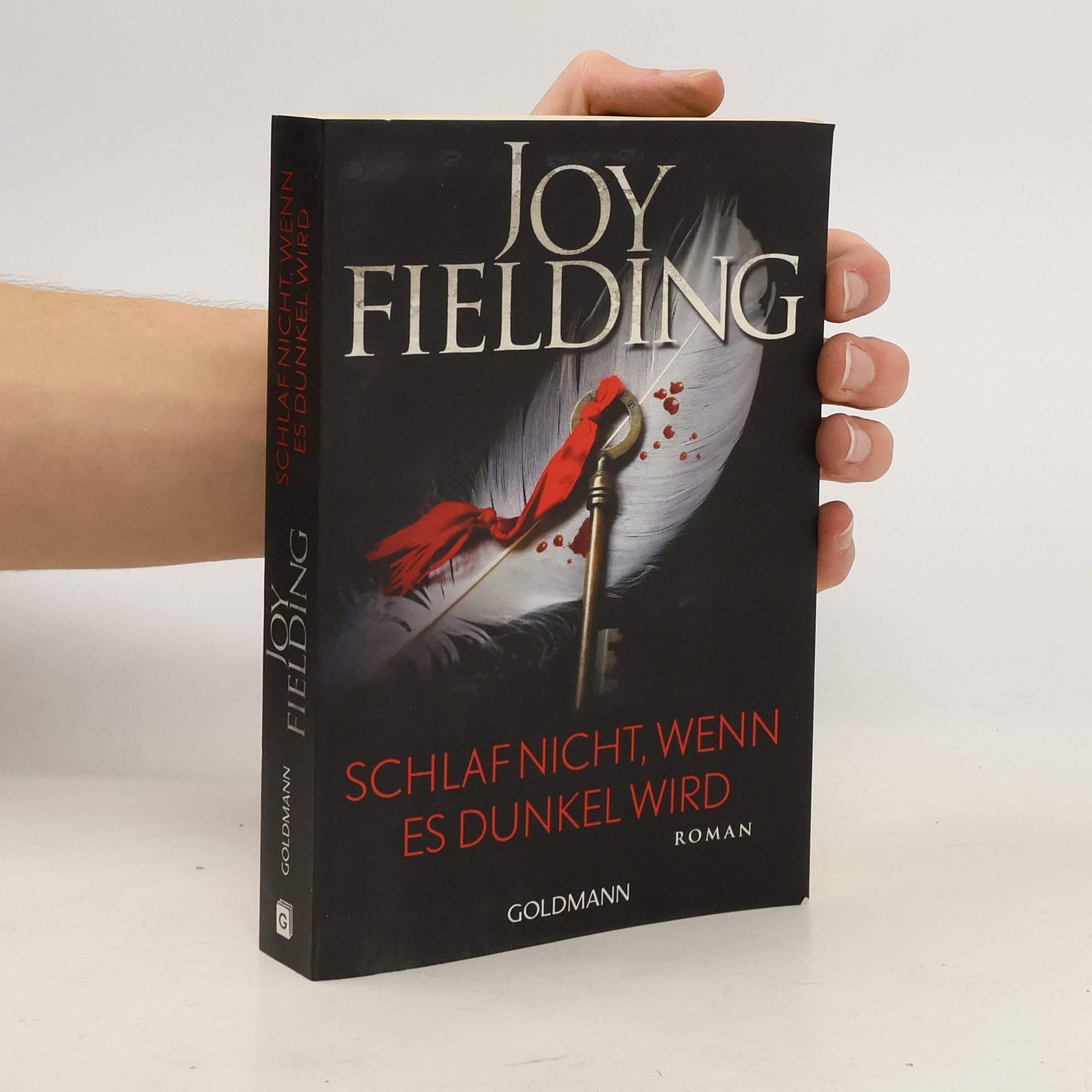 Joy Fielding Schlaf nicht, wenn es dunkel wird
