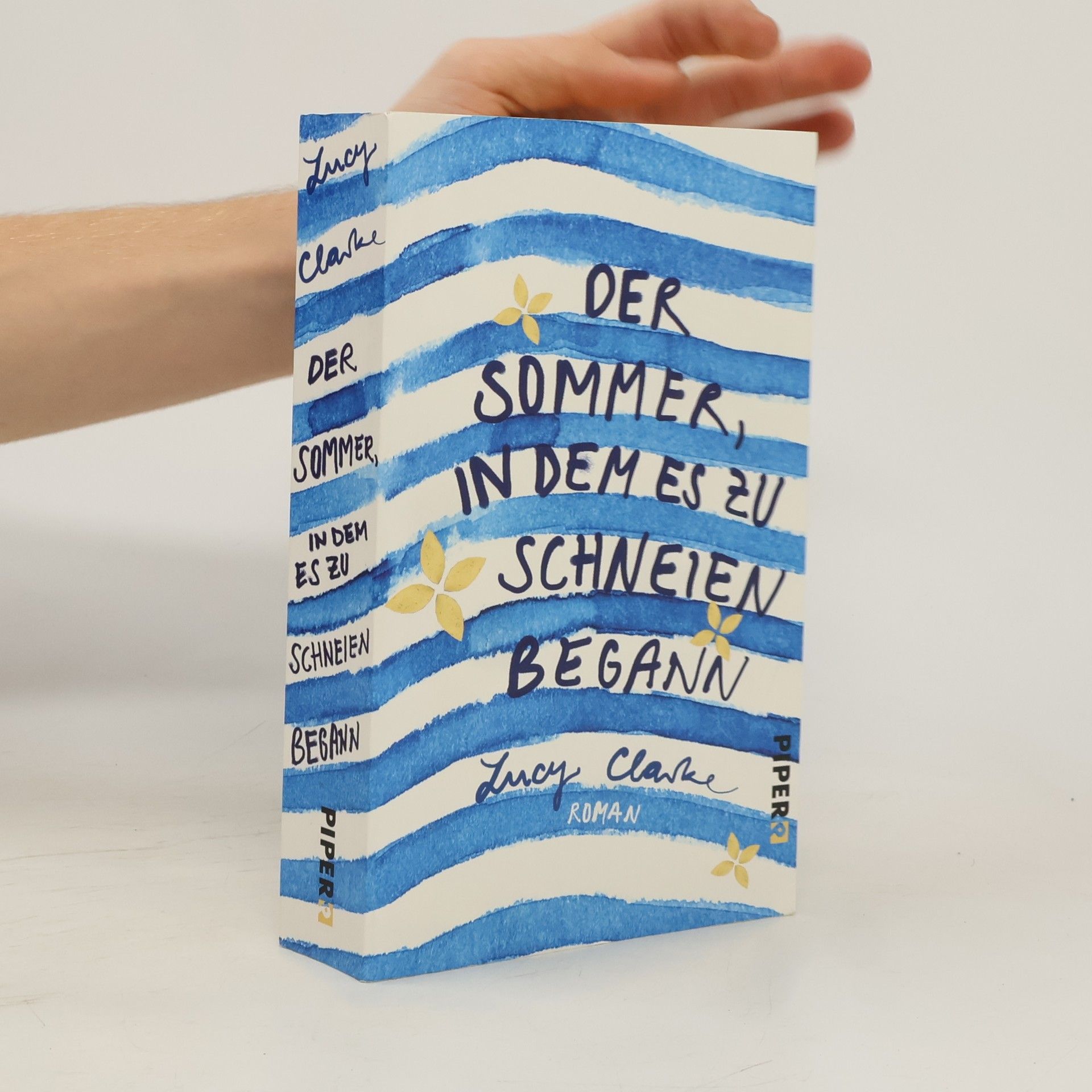 Lucy Clarke Der Sommer, in dem es zu schneien begann