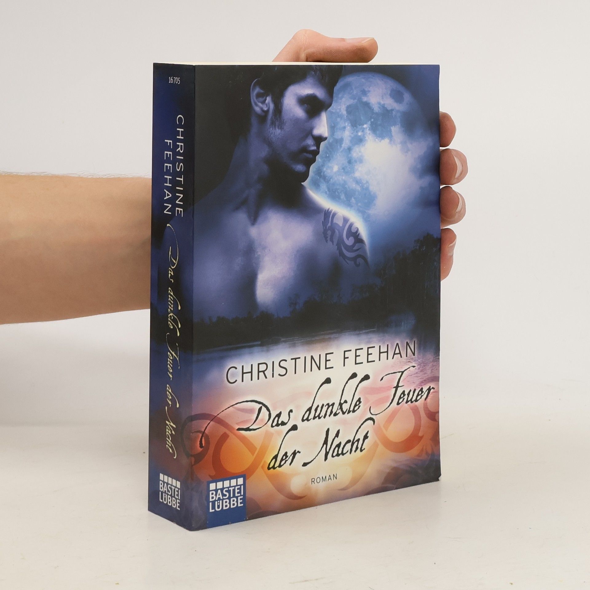 Christine Feehan Das dunkle Feuer der Nacht