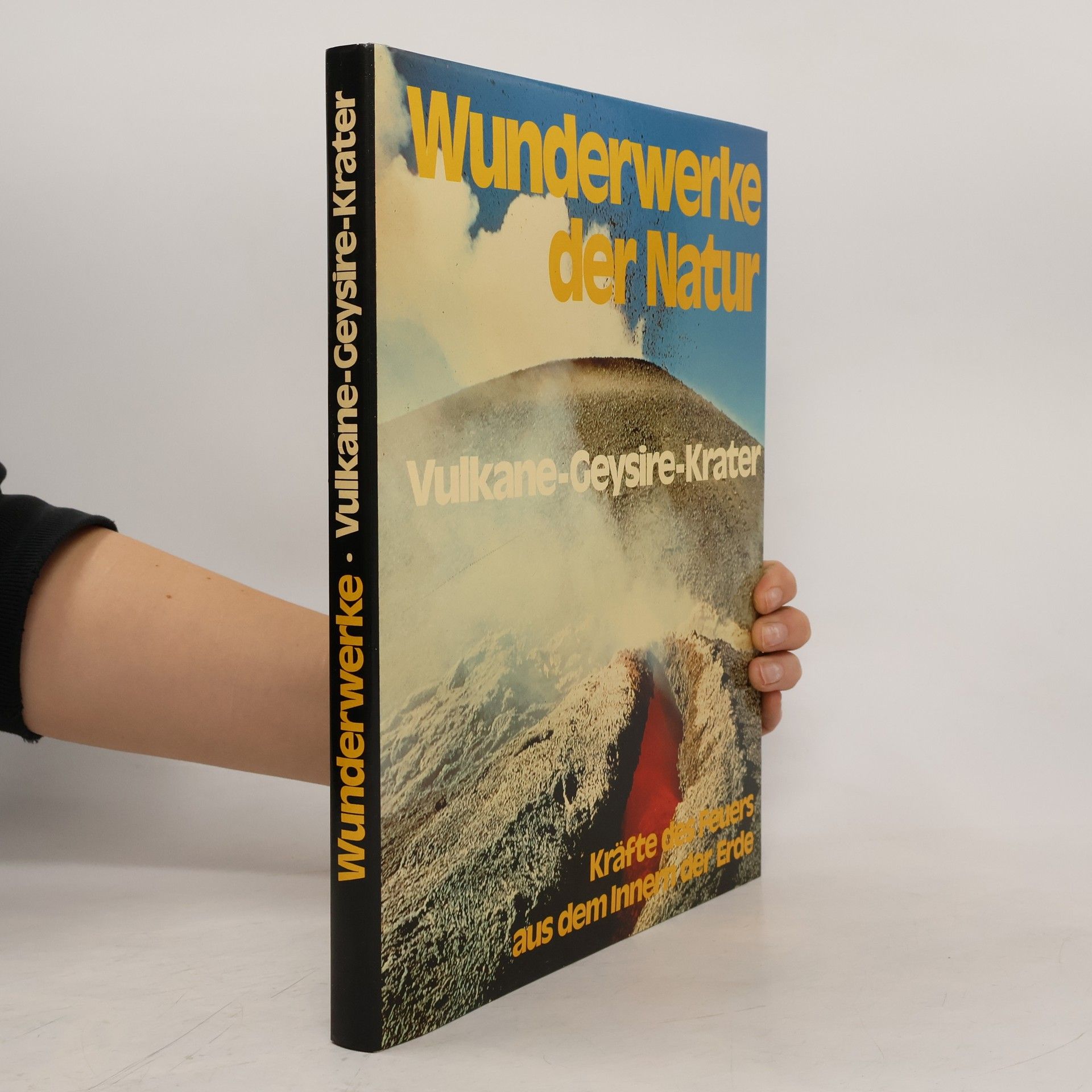 Flavio Conti Vulkane - Geysire - Krater