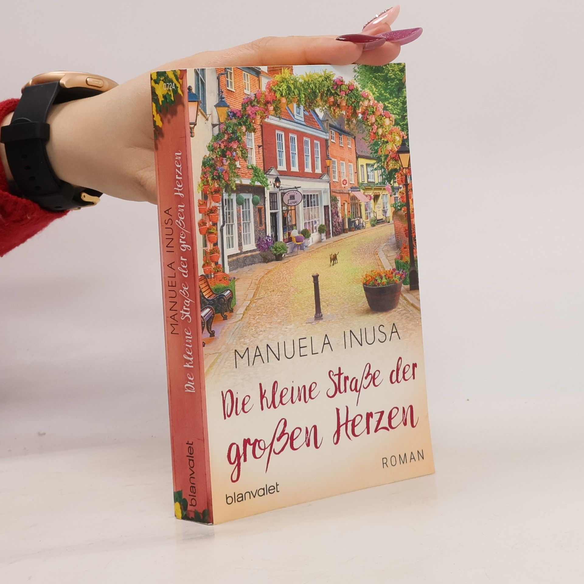 Manuela Inusa Die kleine Straße der großen Herzen