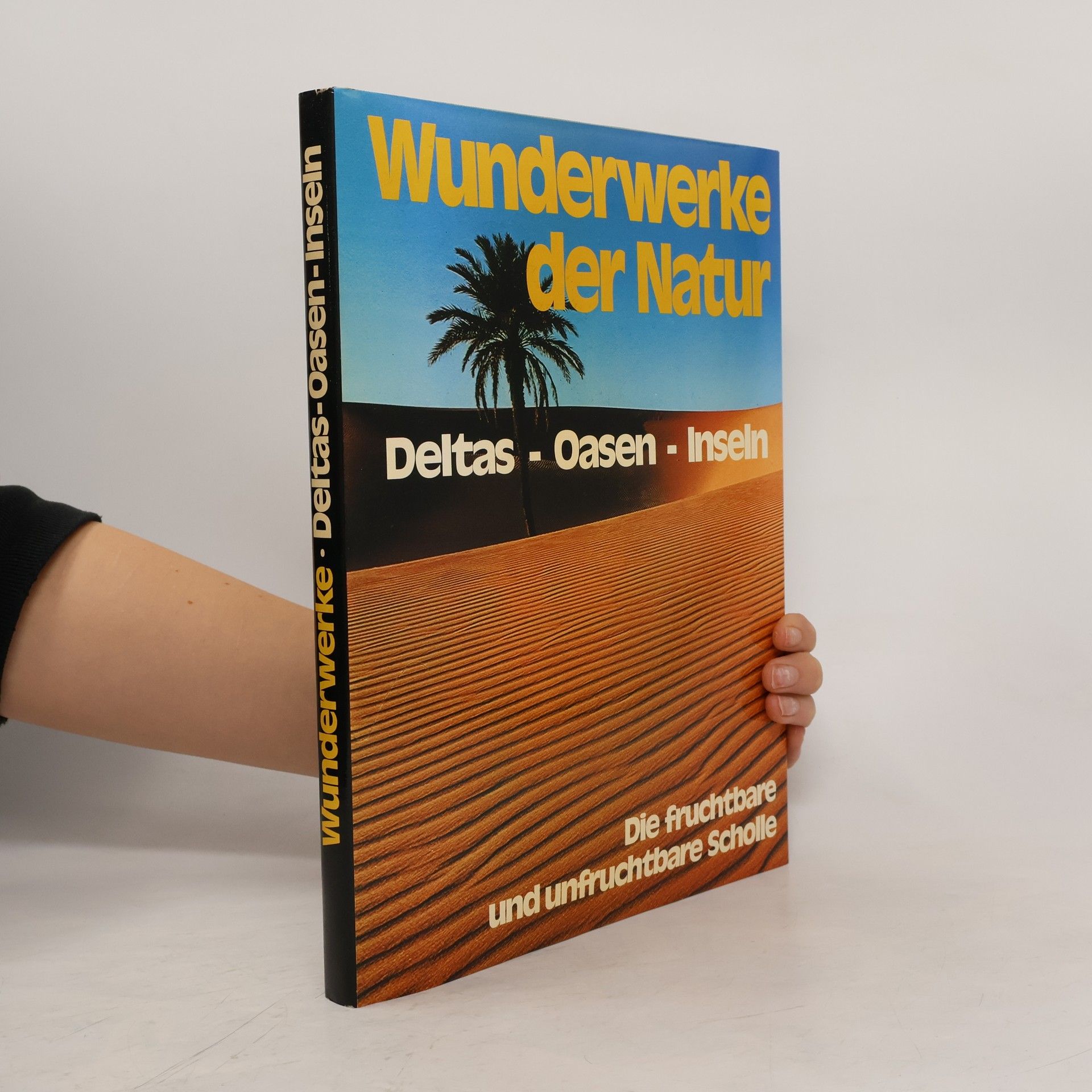 Flavio Conti Deltas - Oasen - Inseln