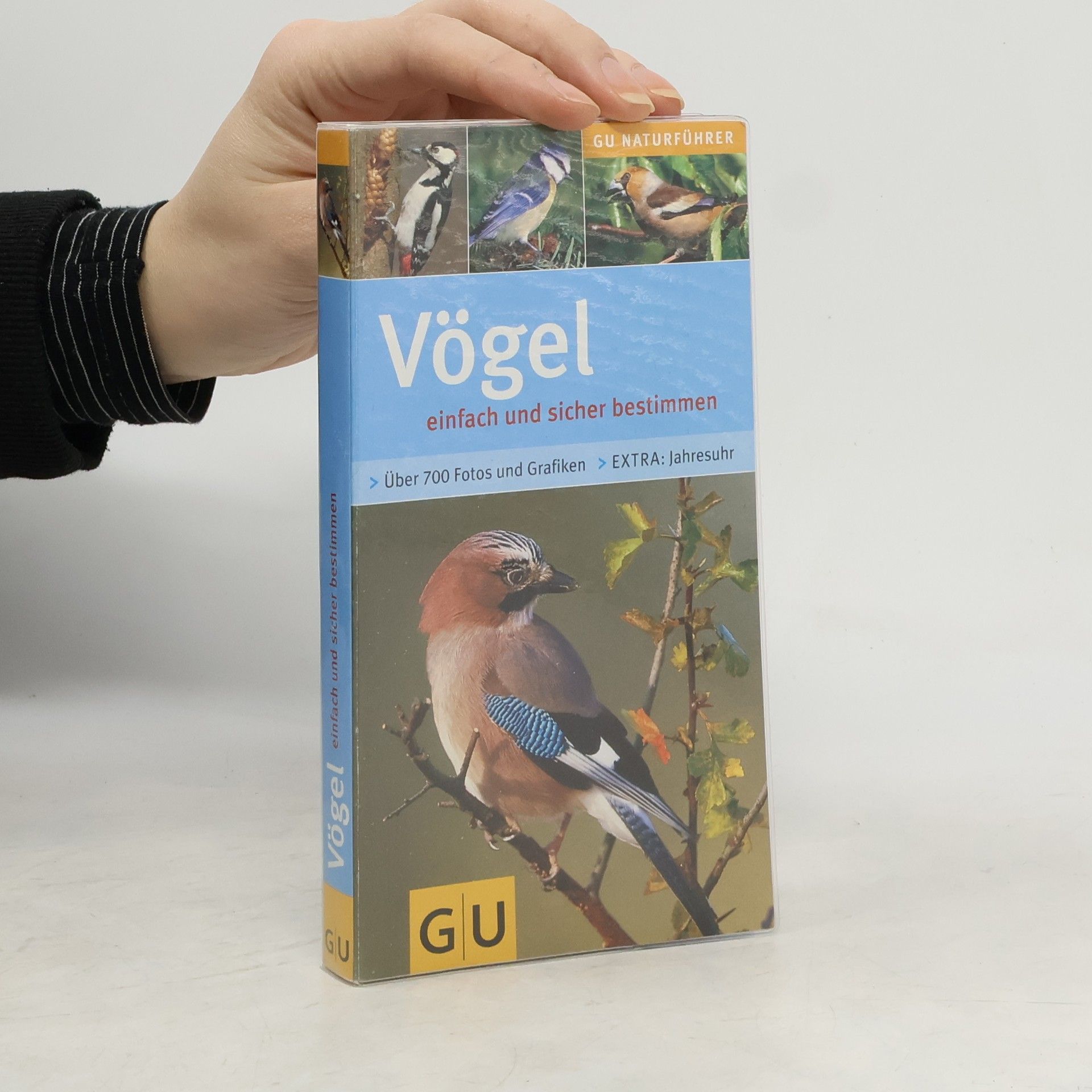 Helga Hofmann-Sieber Vögel einfach und sicher bestimmen