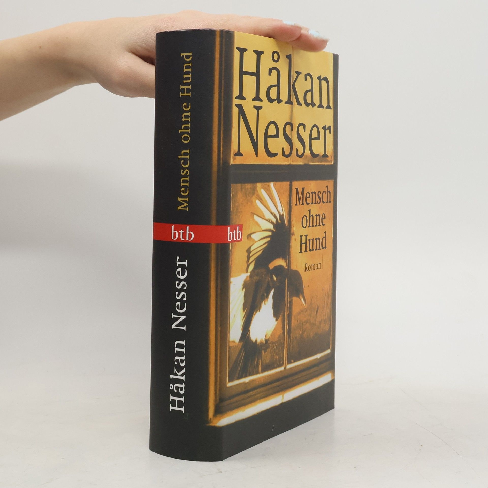 Håkan Nesser Mensch ohne Hund