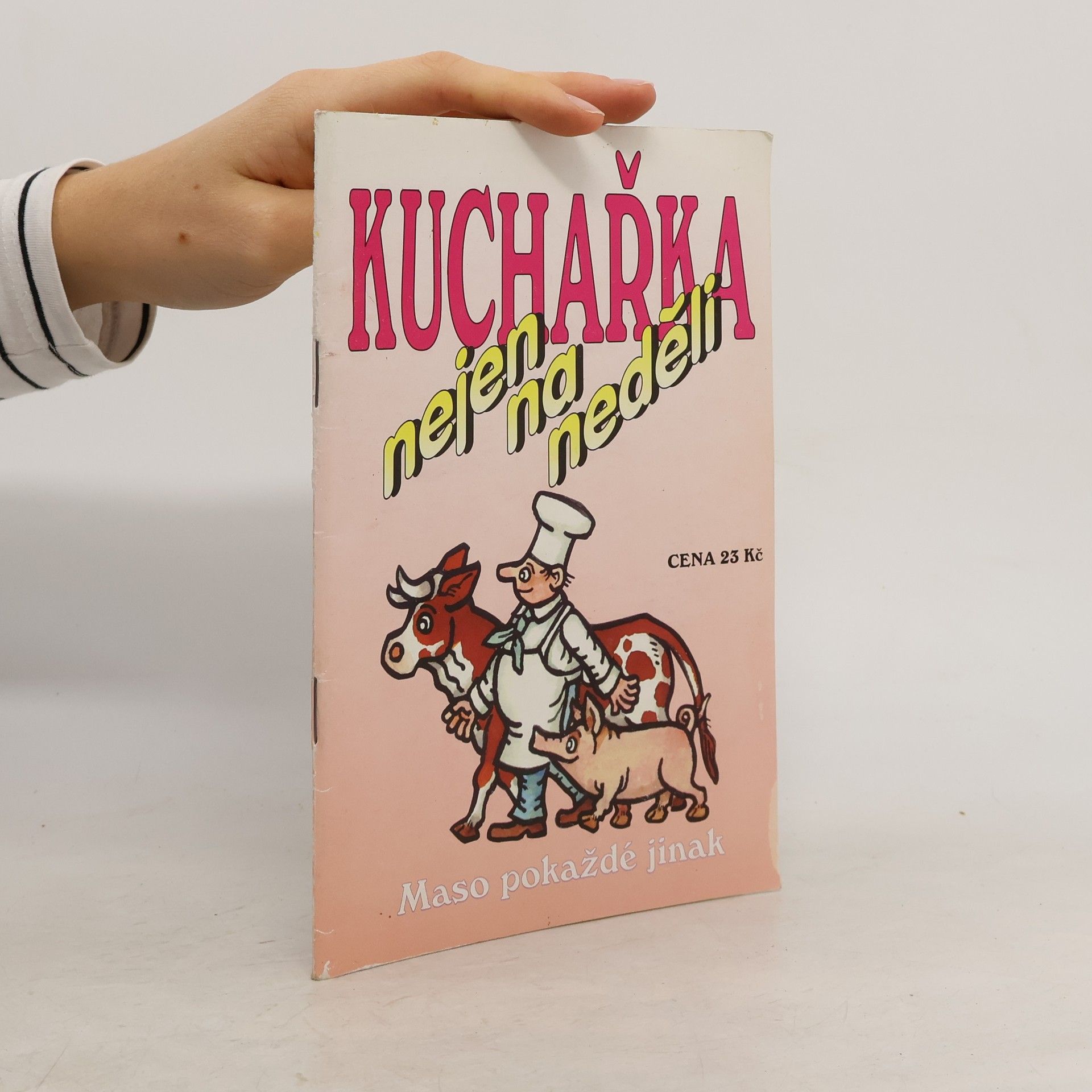 Jaroslav Vašák Kuchařka nejen na neděli. Maso pokaždé jinak