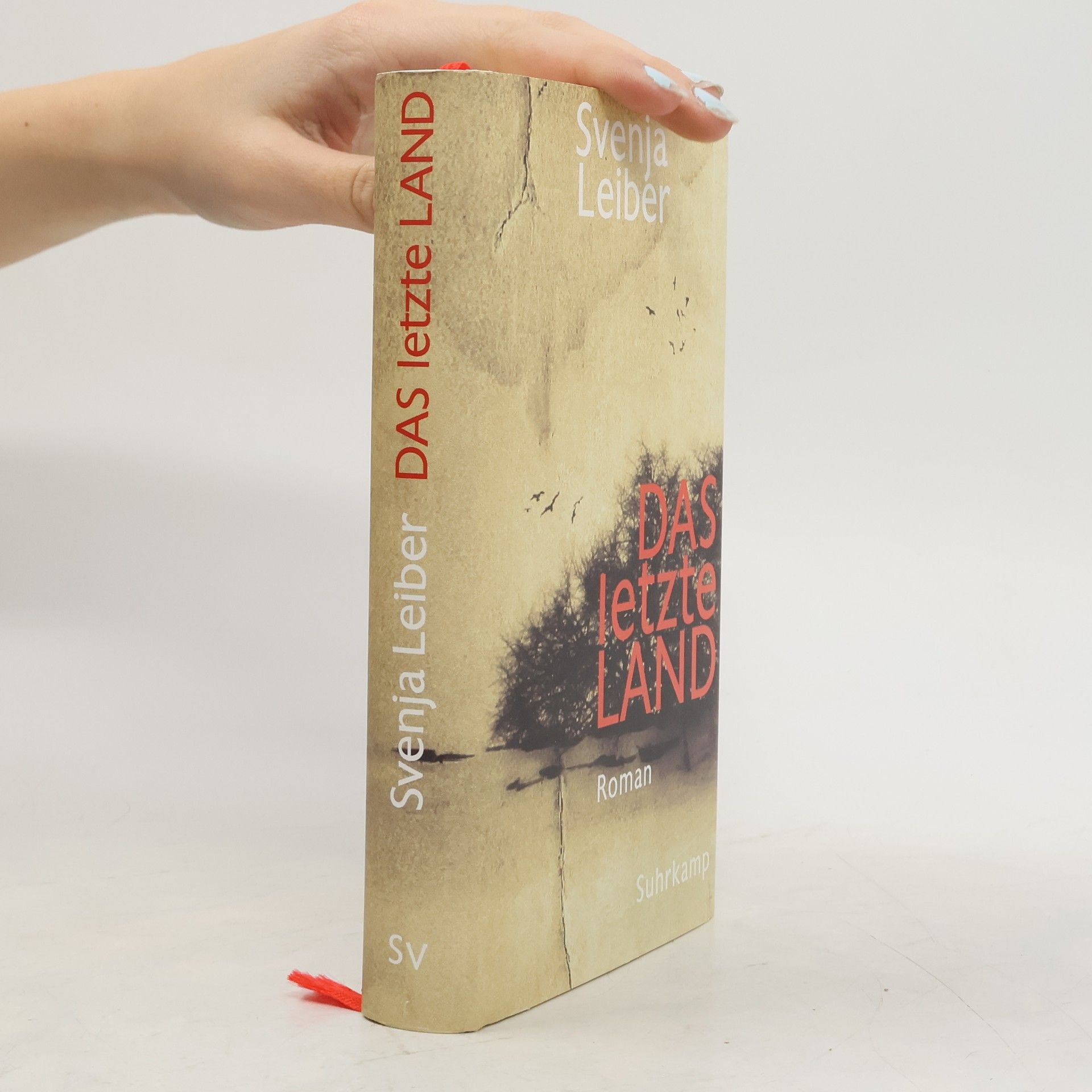 Svenja Leiber Das letzte Land