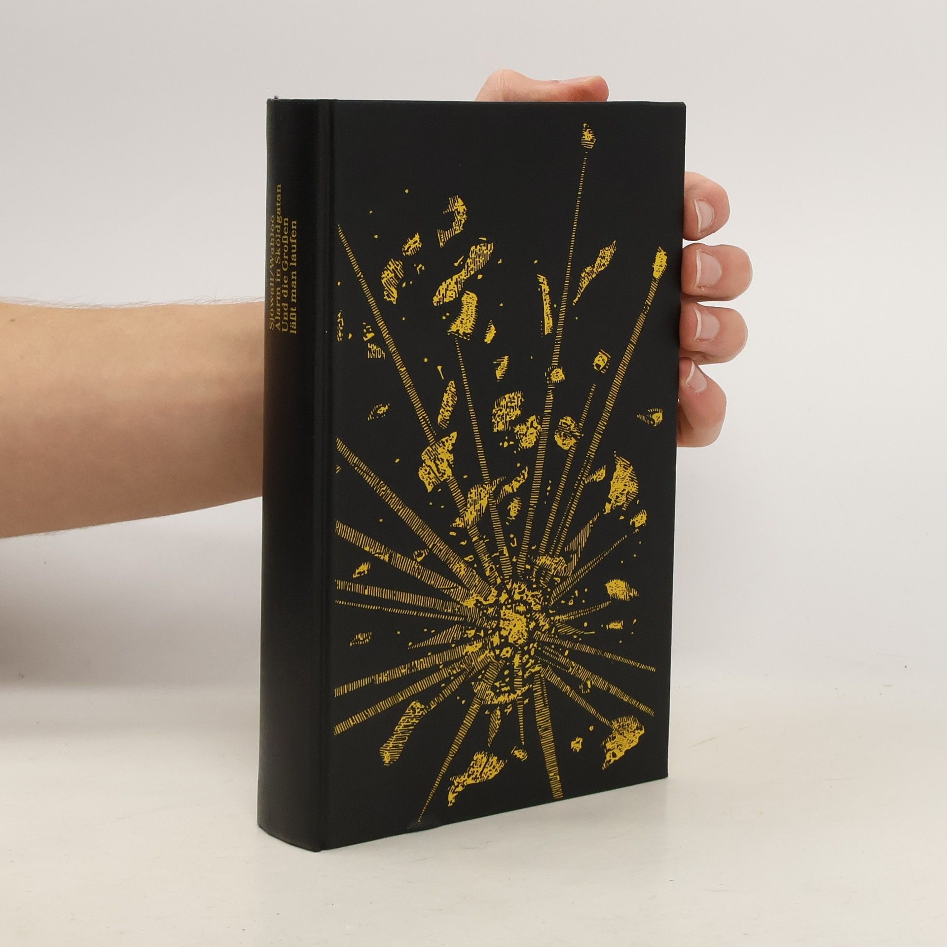 Maj Sjöwall Alarm in Sköldgatan