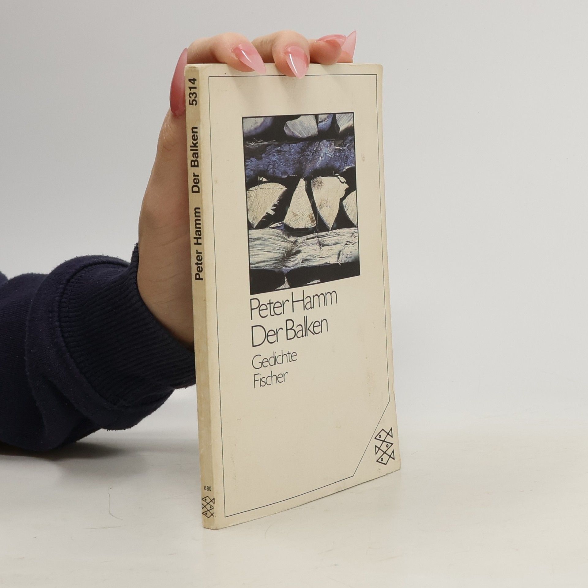 Peter Hamm Der Balken