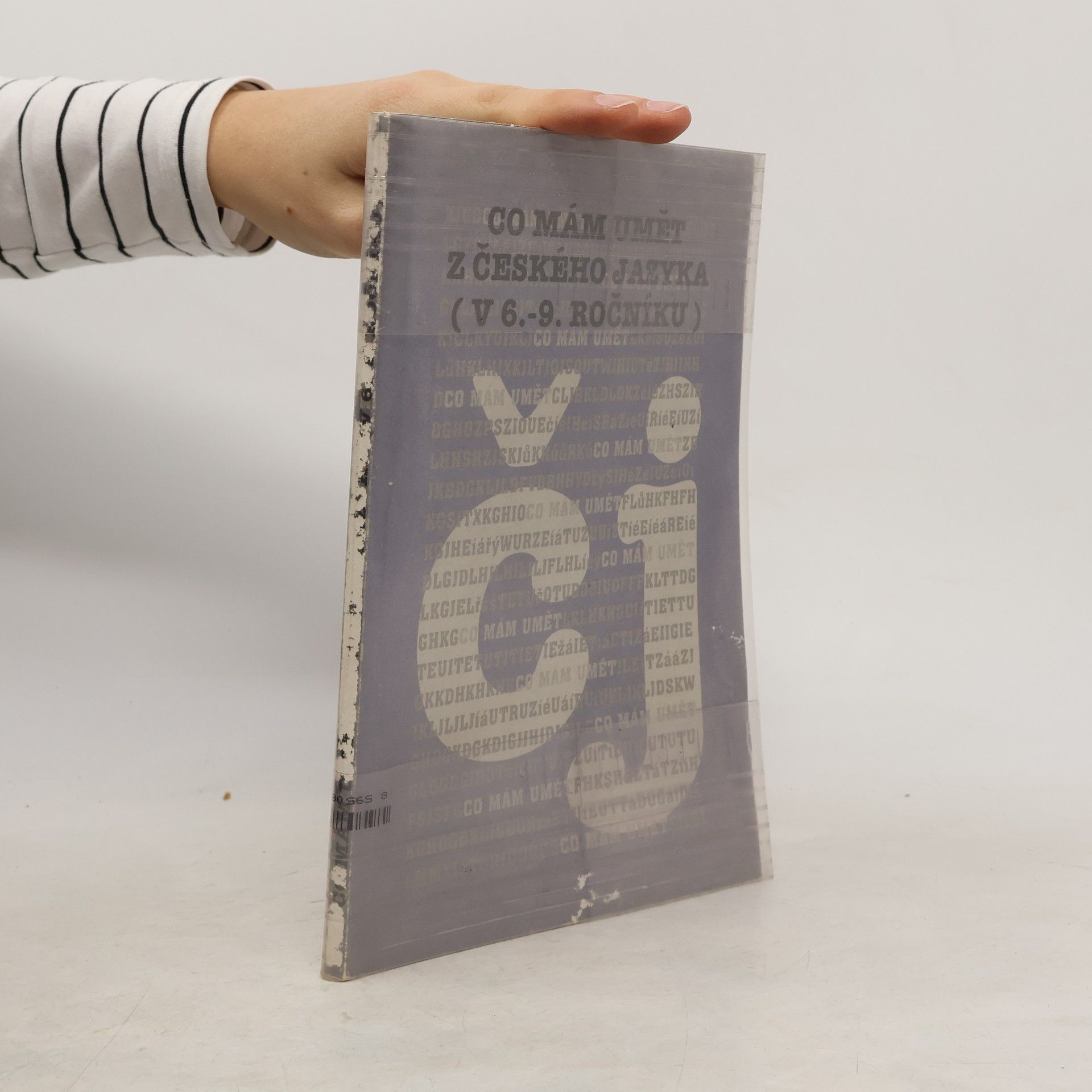 Vlastimil Styblík Český jazyk v 6.-9. ročníku