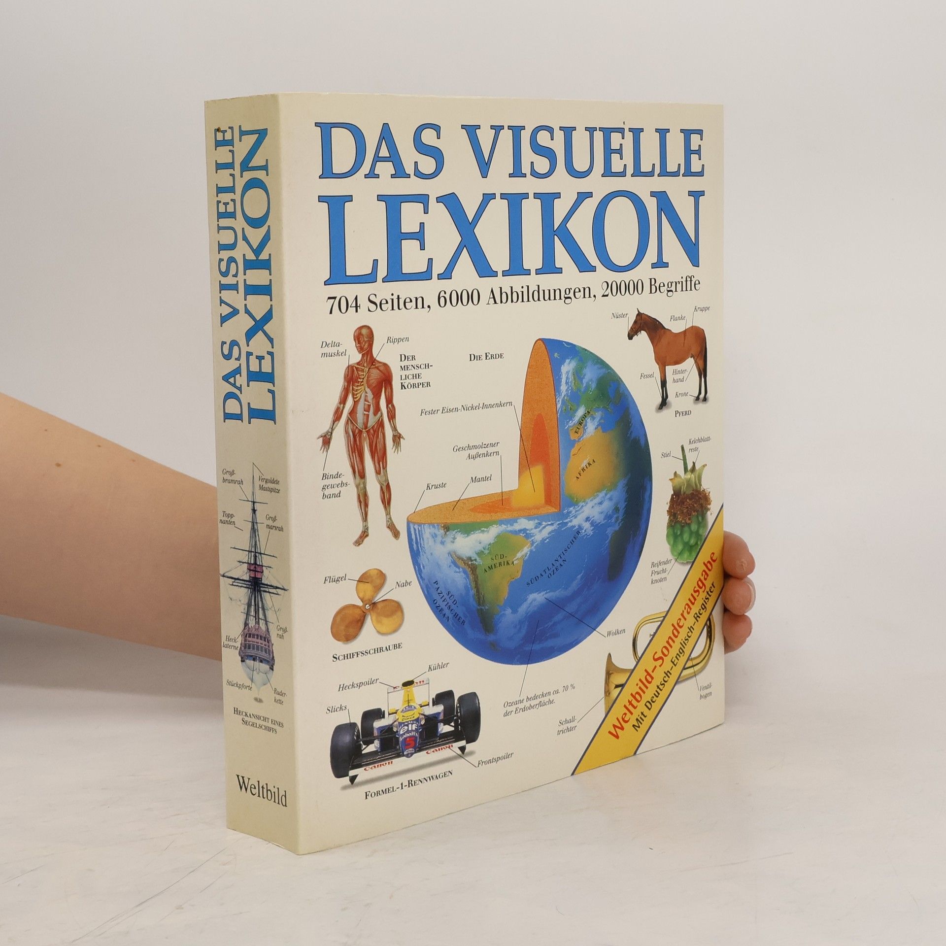 Margot Wilhelmi Das visuelle Lexikon