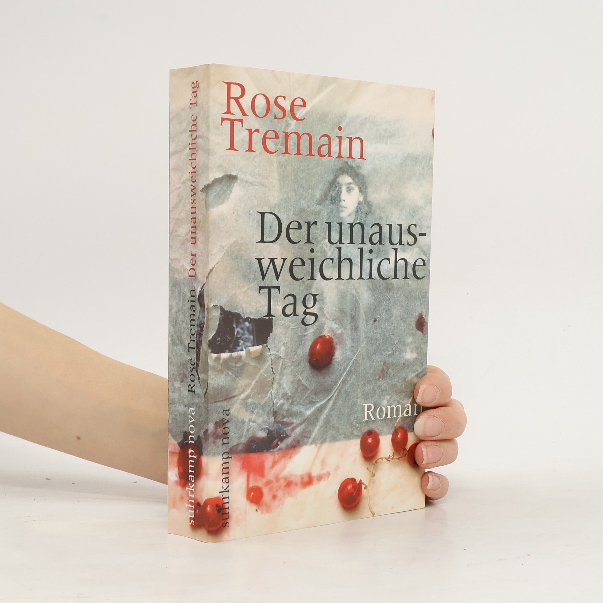 Rose Tremain Der unausweichliche Tag