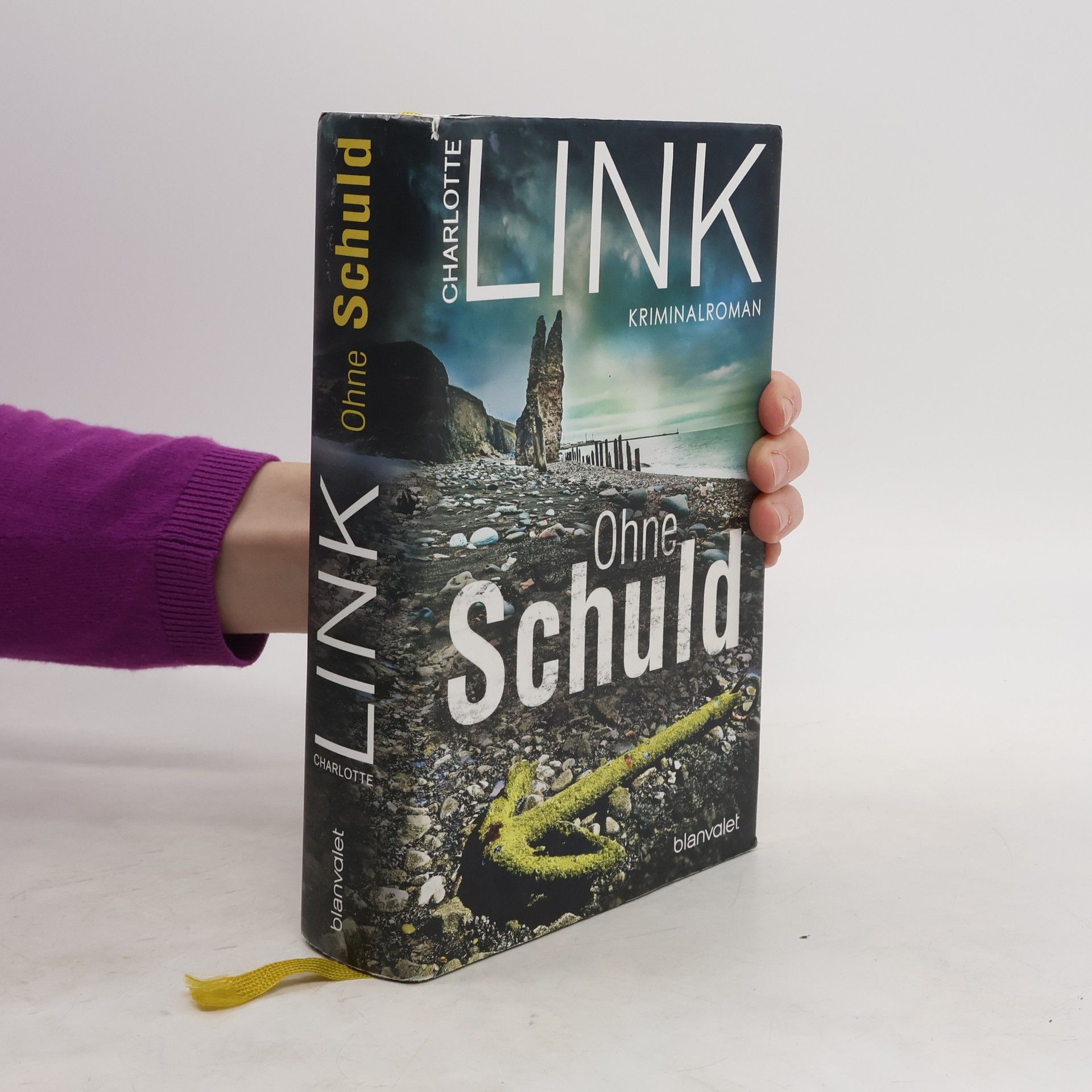 Charlotte Link Ohne Schuld