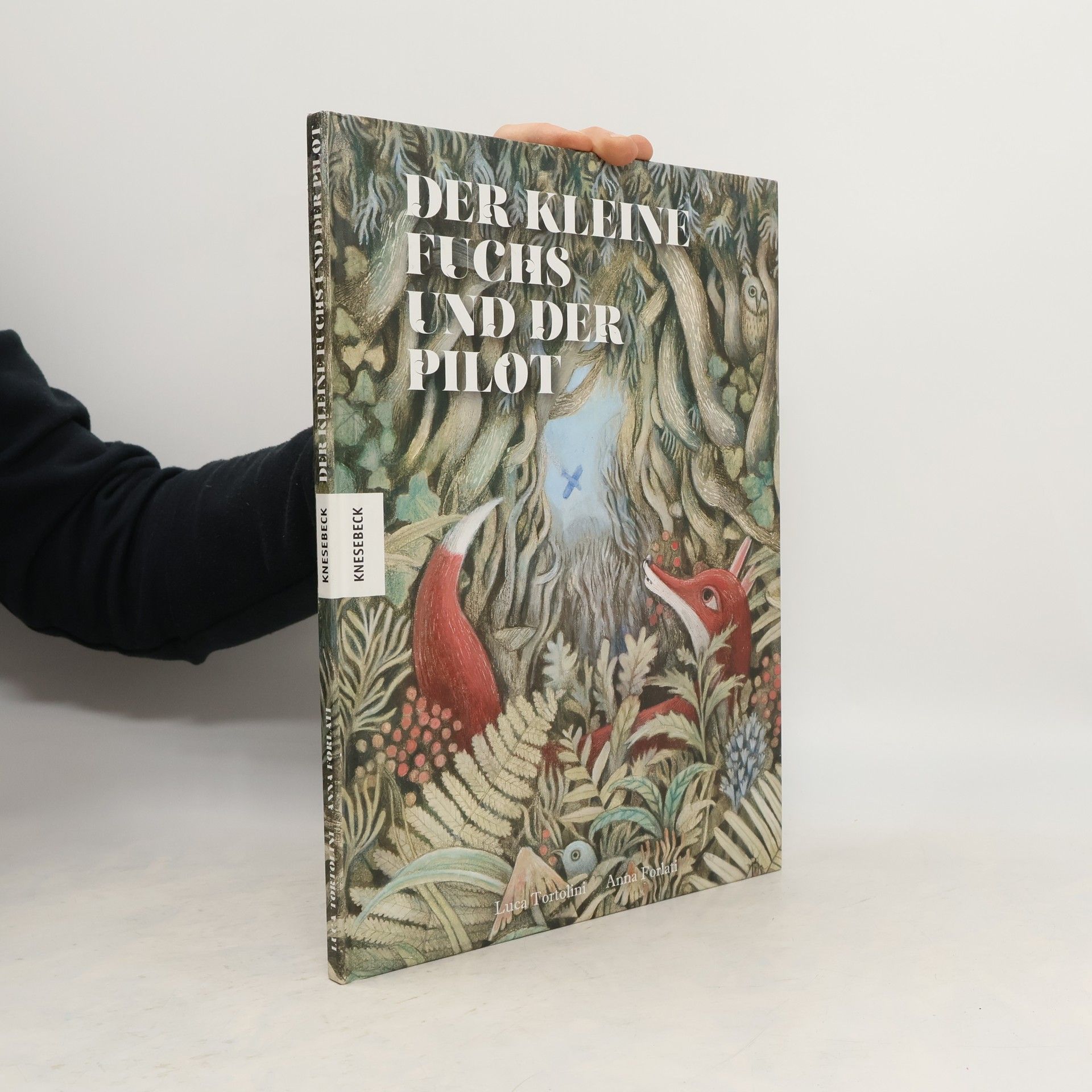 Luca Tortolini Der kleine Fuchs und der Pilot