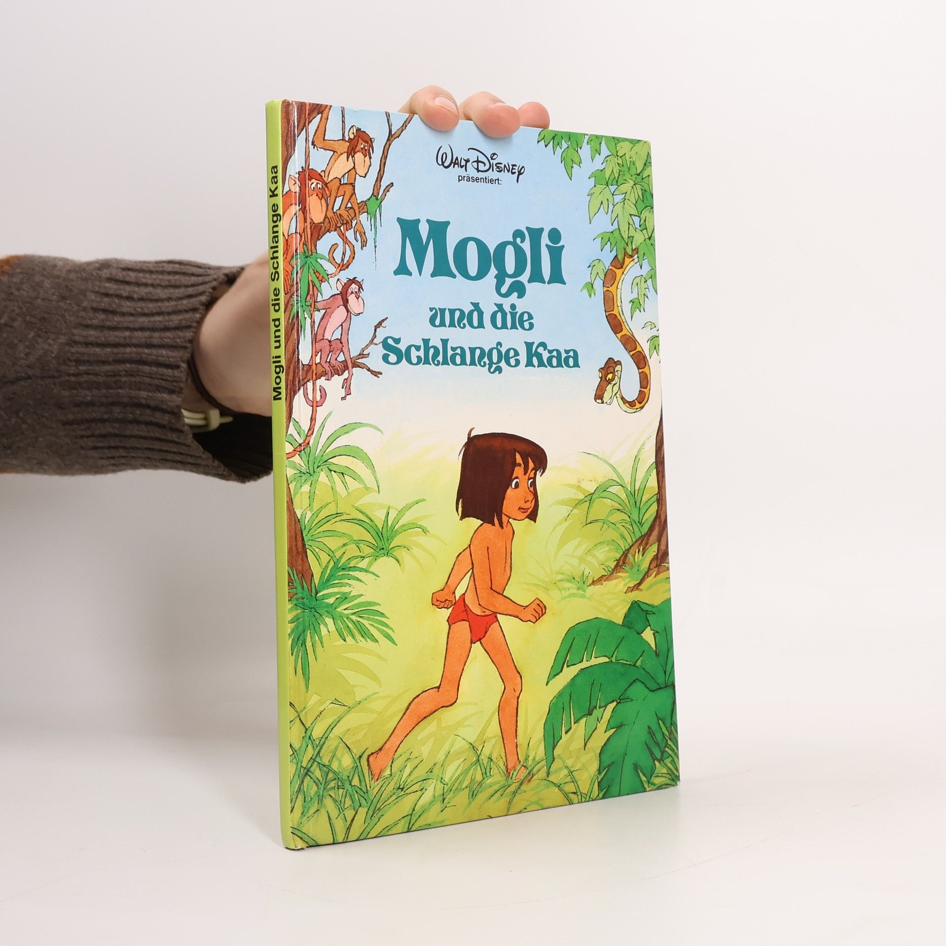 Autorenkollektiv Mogli und die Schlange Kaa