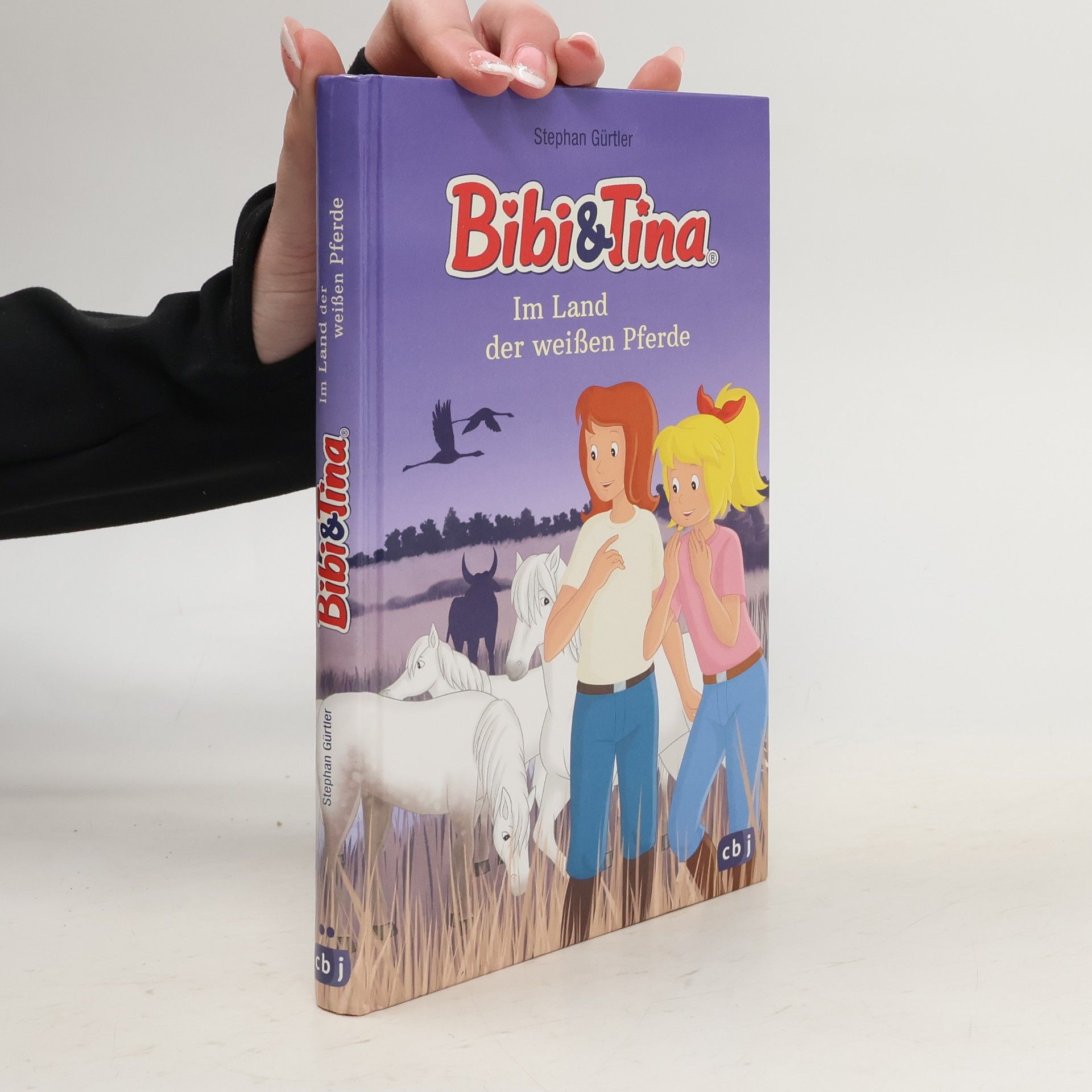 Stephan Gütler Im Land der weißen Pferde / Bibi & Tina-Romanreihe Bd.1
