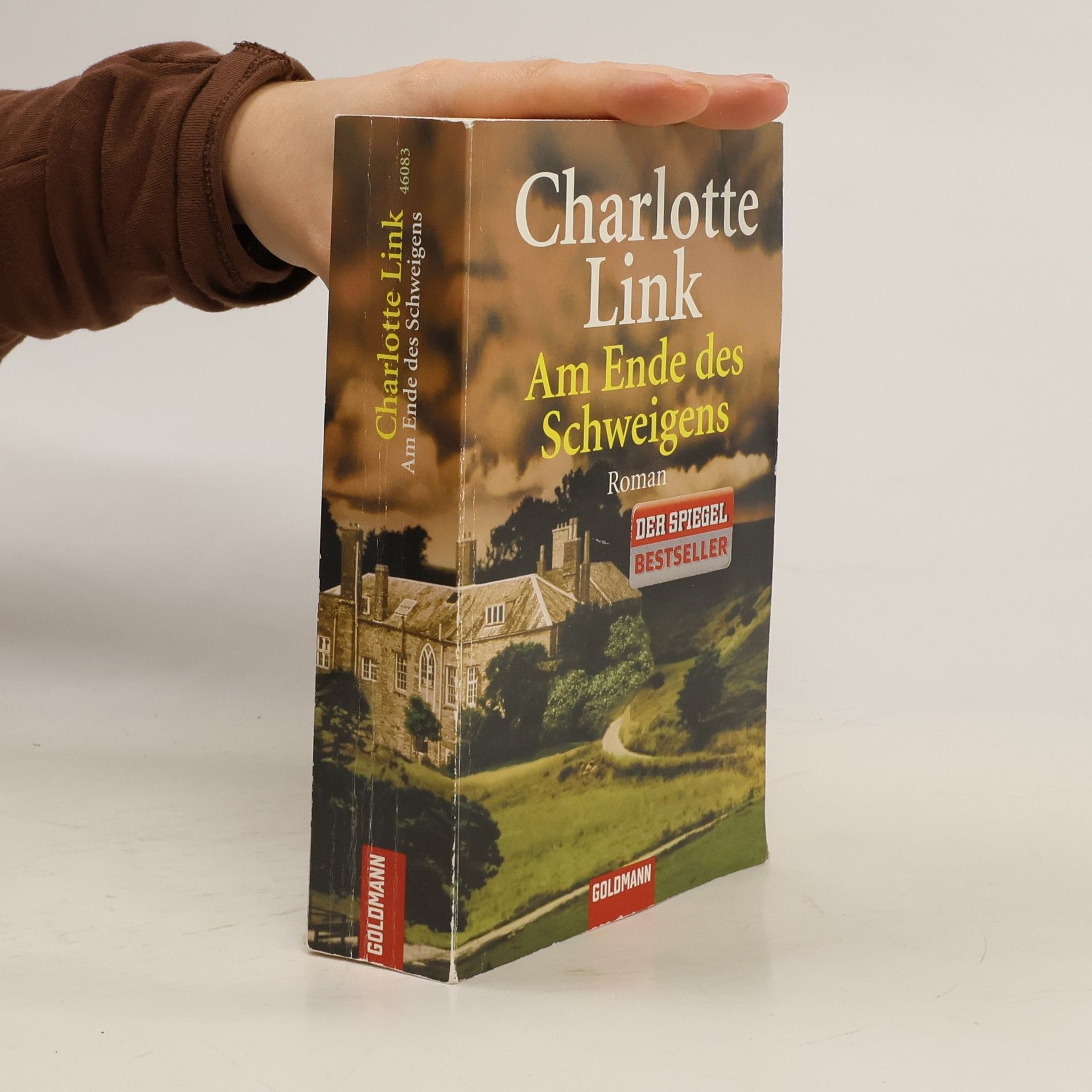 Charlotte Link Am Ende des Schweigens