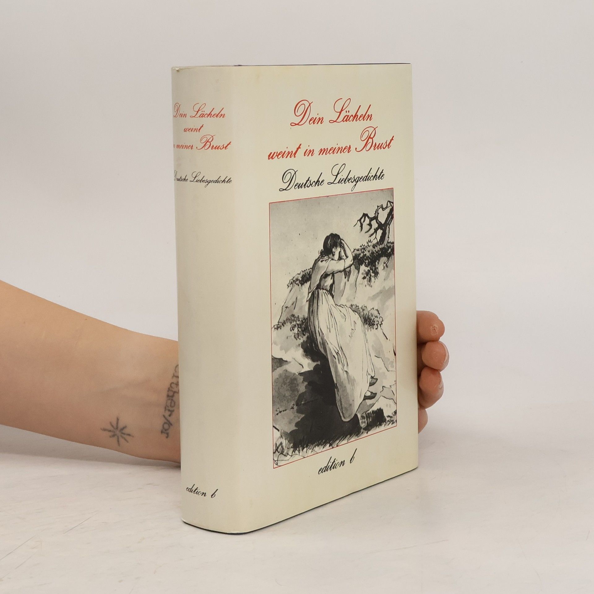 Kolektív autorov Dein Lächeln weint in meiner Brust