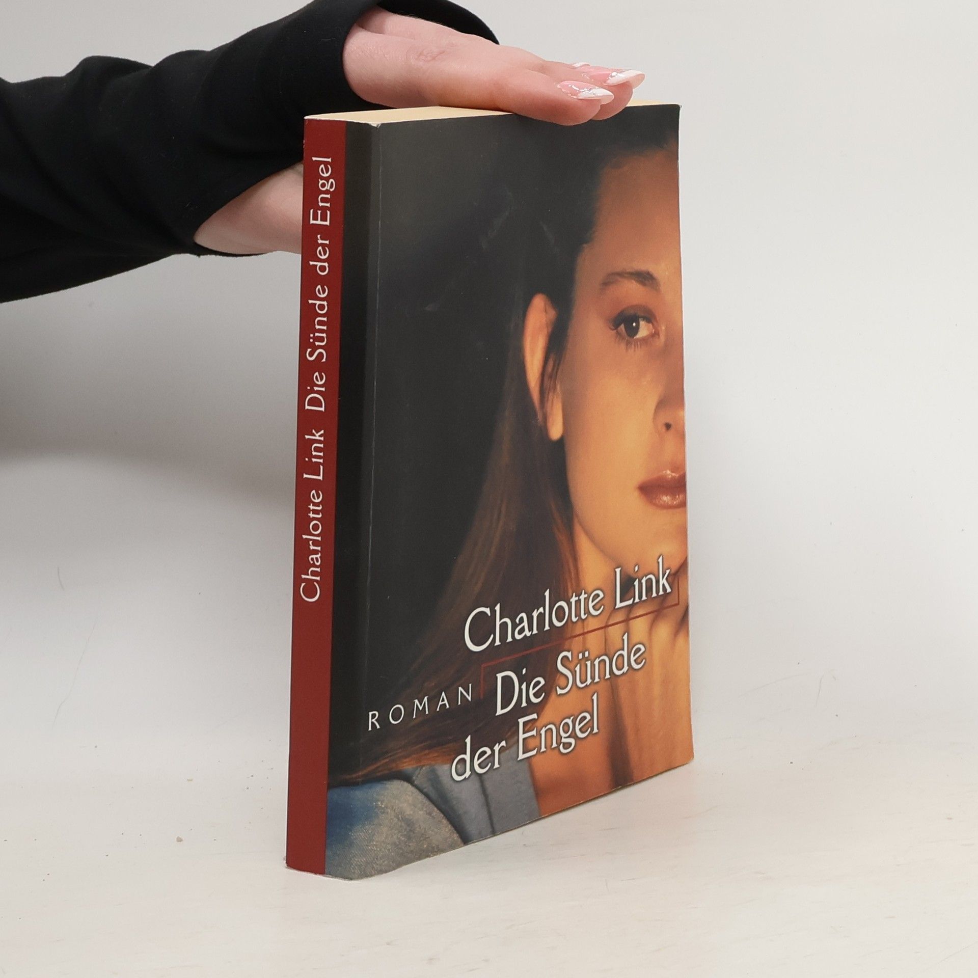 Charlotte Link Die Sünde der Engel