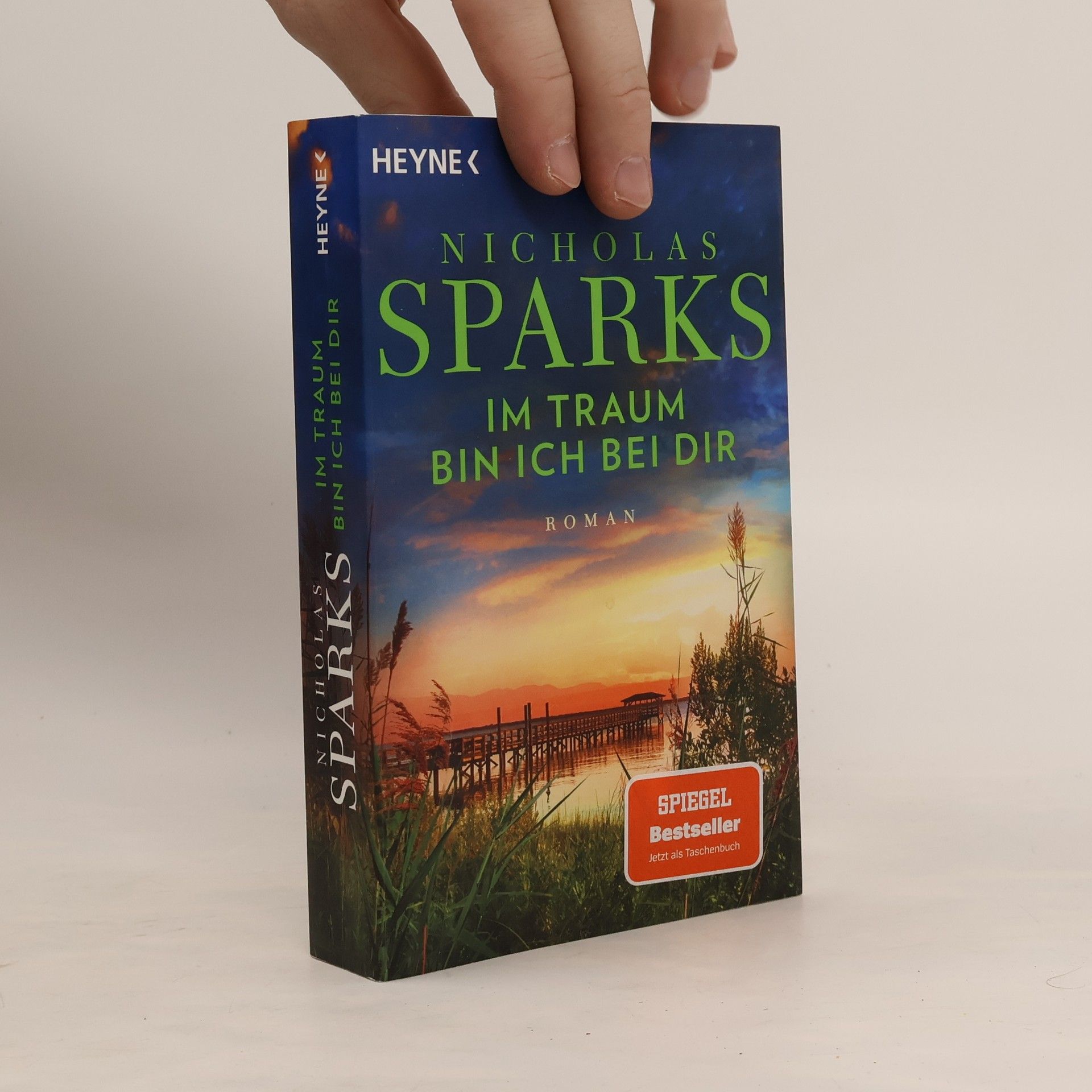 Nicholas Sparks Im Traum bin ich bei dir