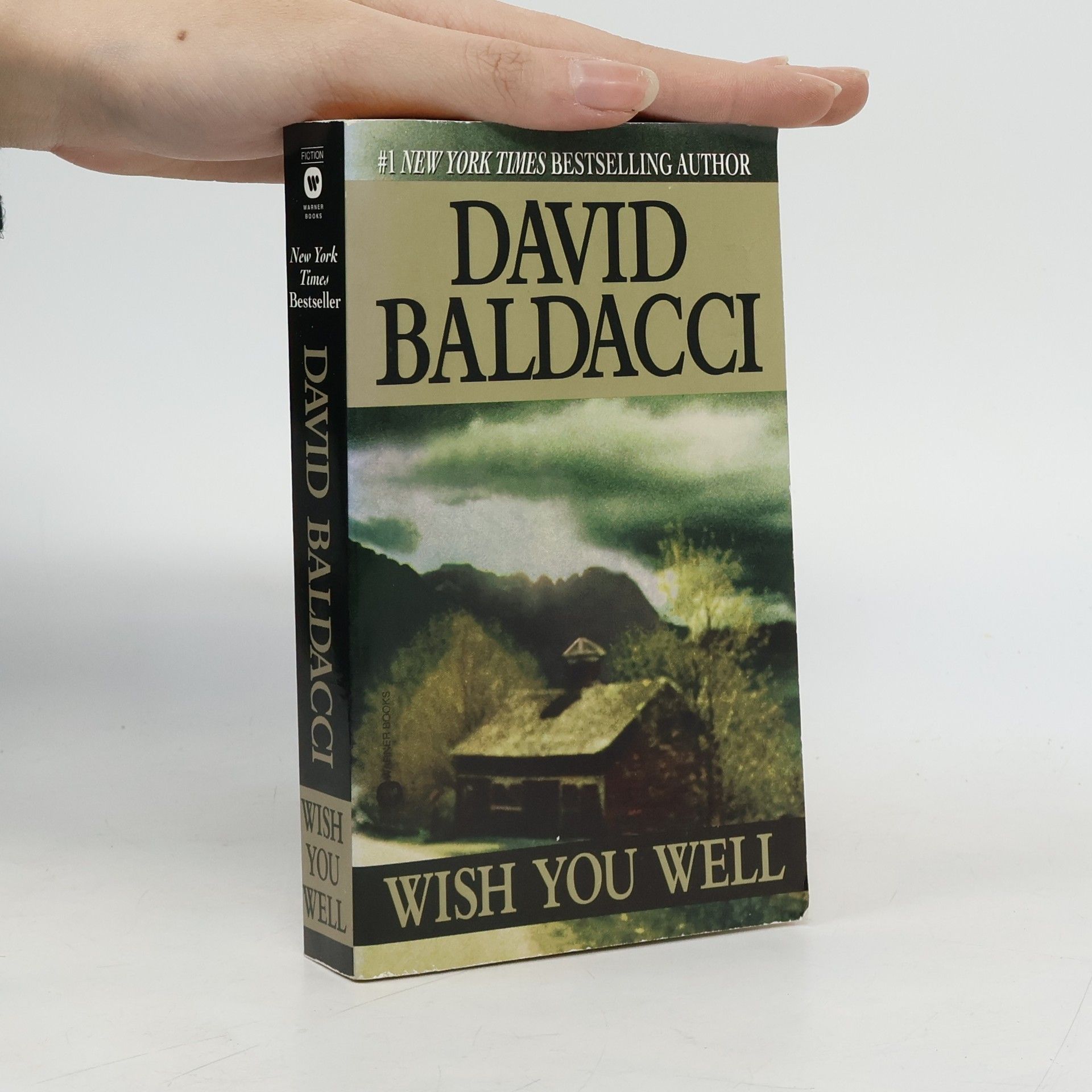 David Baldacci Wish you well