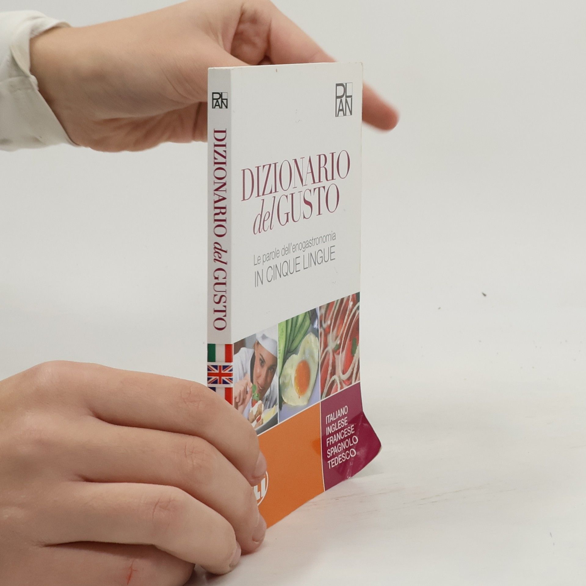 Collectif d'auteurs Dizionario Del Gusto