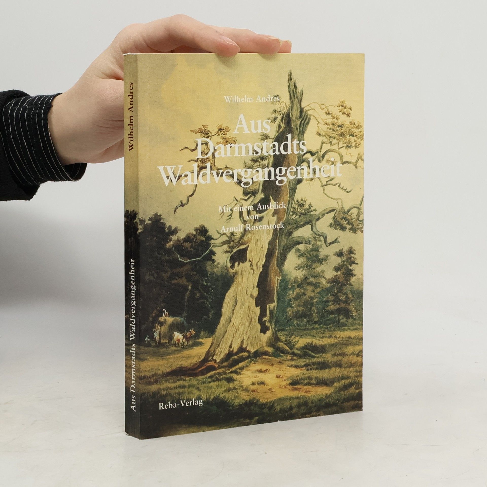 Wilhelm Andres Aus Darmstadts Waldvergangenheit