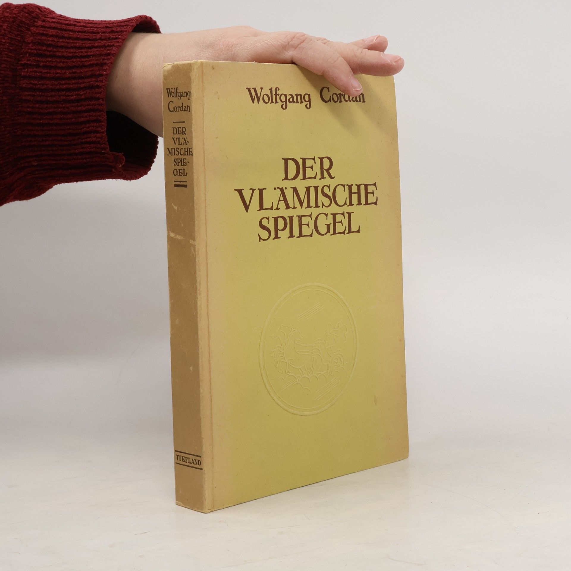 Der vlämische spiegel