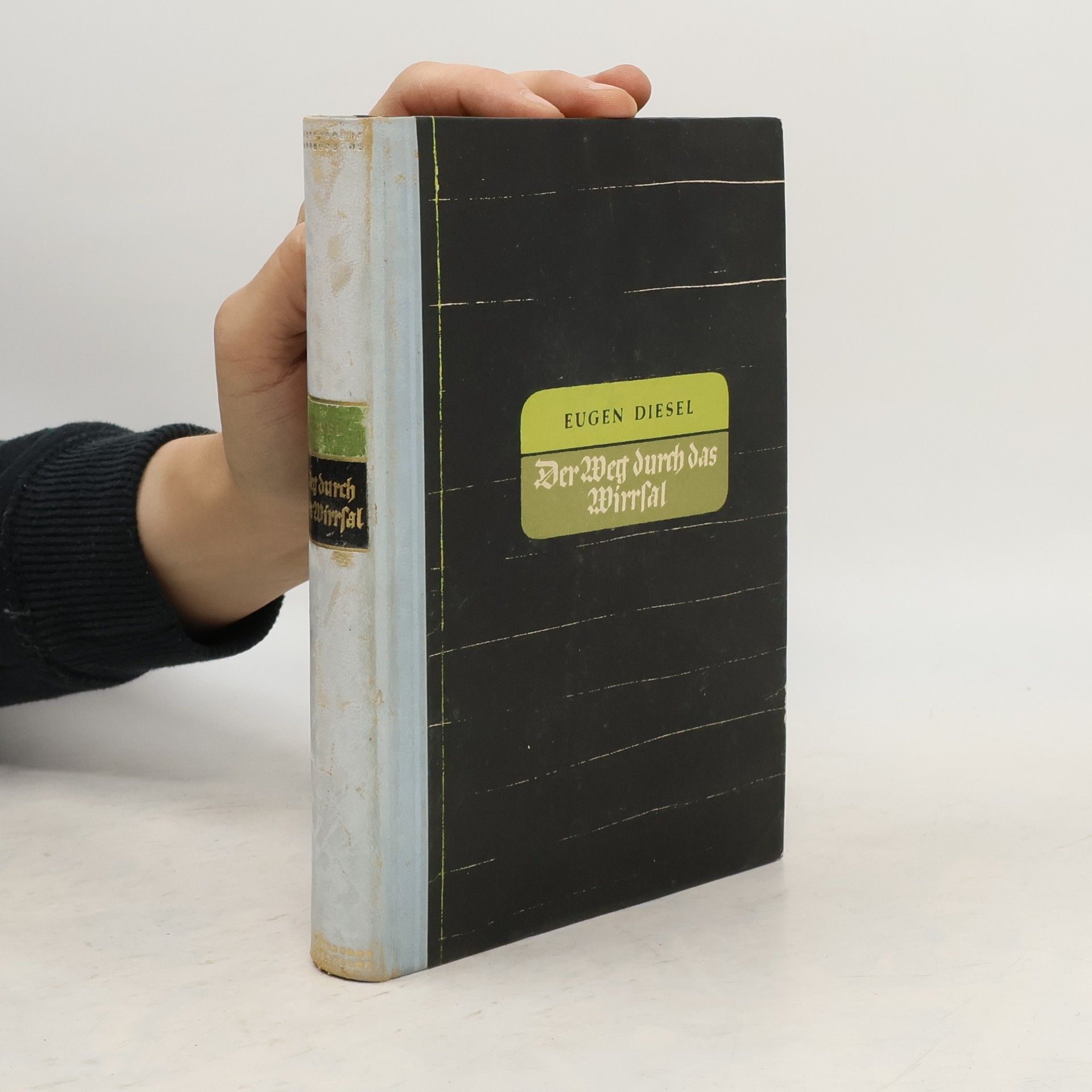 Eugen Diesel Der Weg durch das Wirrsal