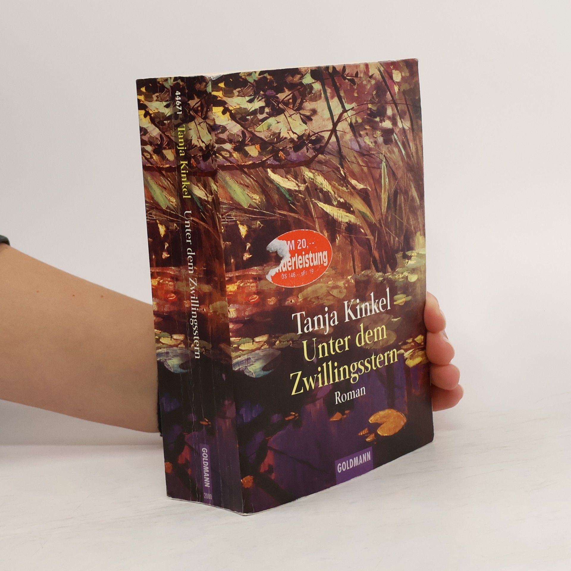 Unter dem Zwillingsstern