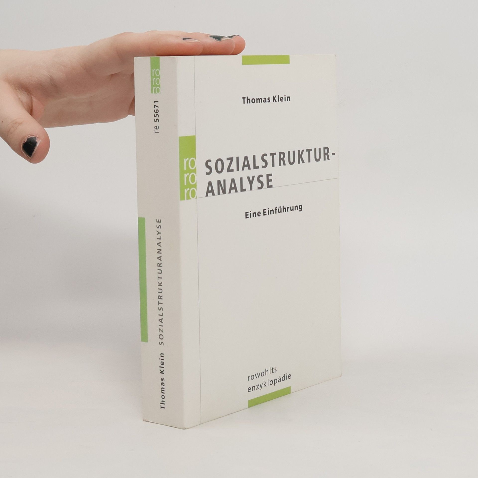 Thomas W. Klein Sozialstrukturanalyse