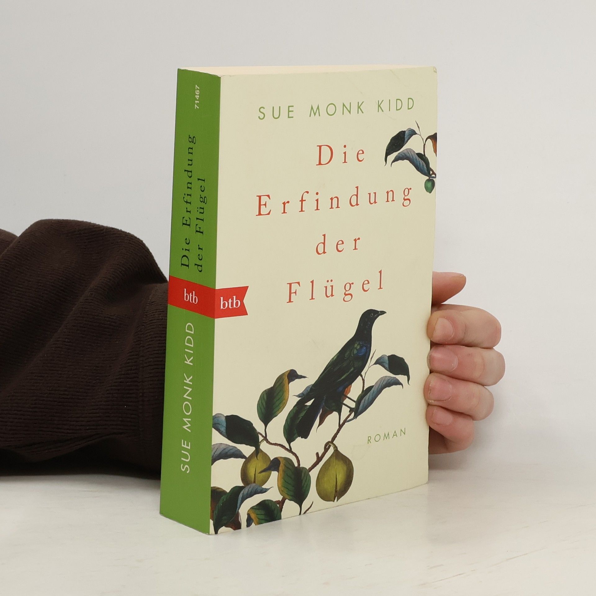 Sue Monk Kidd Die Erfindung der Flügel