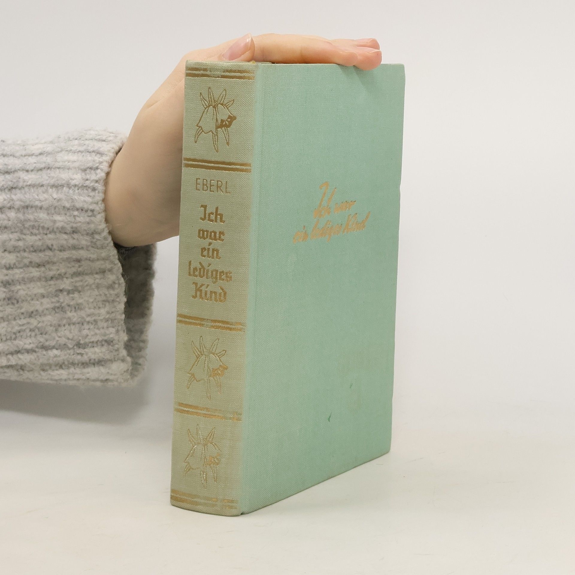 Georg Eberle Ich war ein lediges Kind